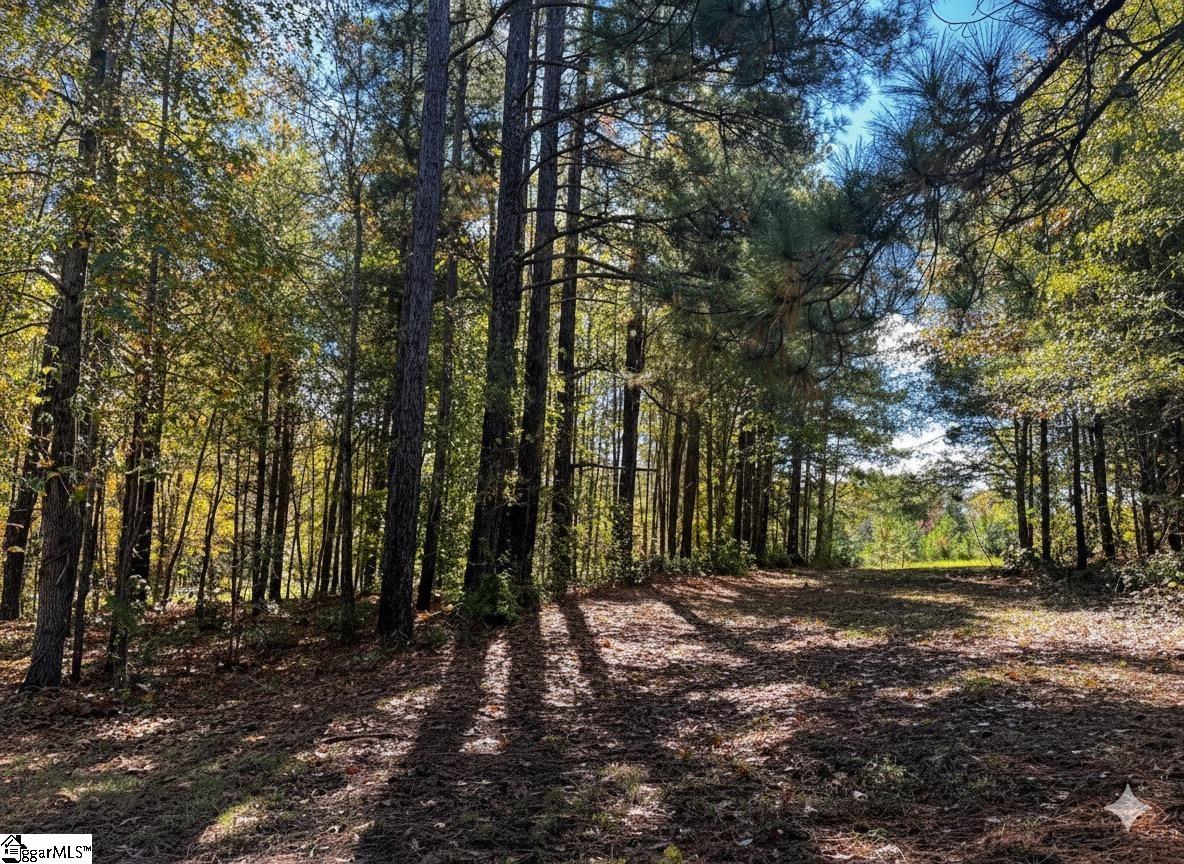 859 Cooper Bridge Road Fountain Inn, SC 29644 - Photo 16 of 50