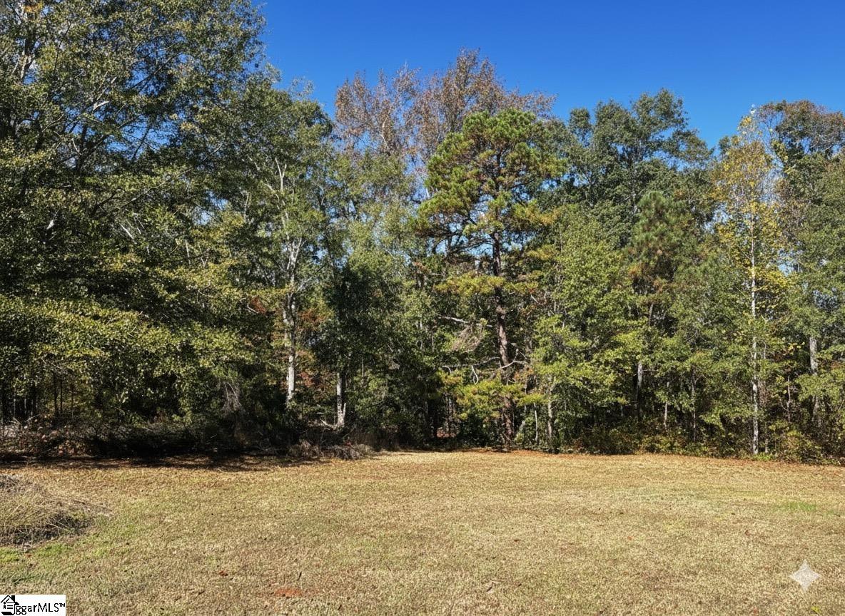 859 Cooper Bridge Road Fountain Inn, SC 29644 - Photo 35 of 44