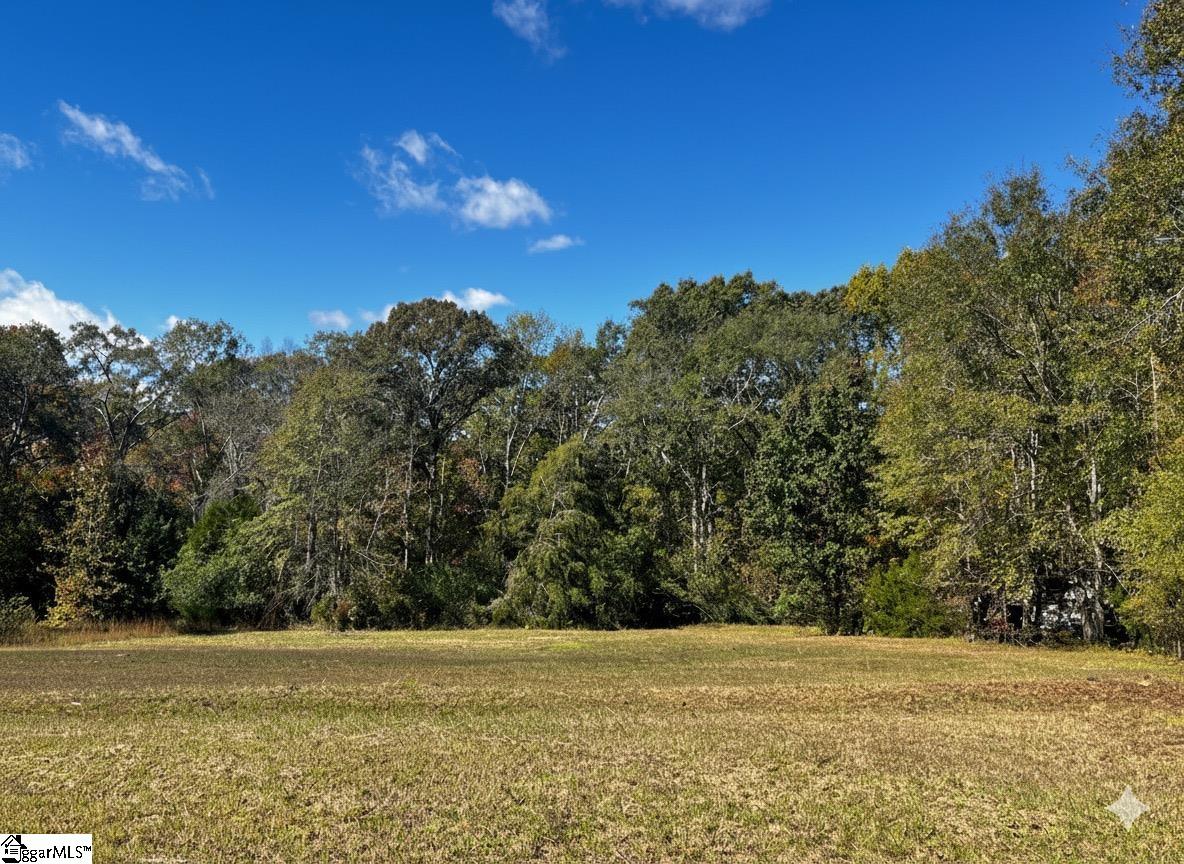 859 Cooper Bridge Road Fountain Inn, SC 29644 - Photo 36 of 44