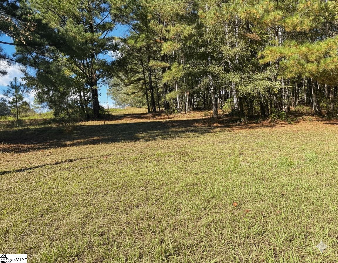 859 Cooper Bridge Road Fountain Inn, SC 29644 - Photo 43 of 44