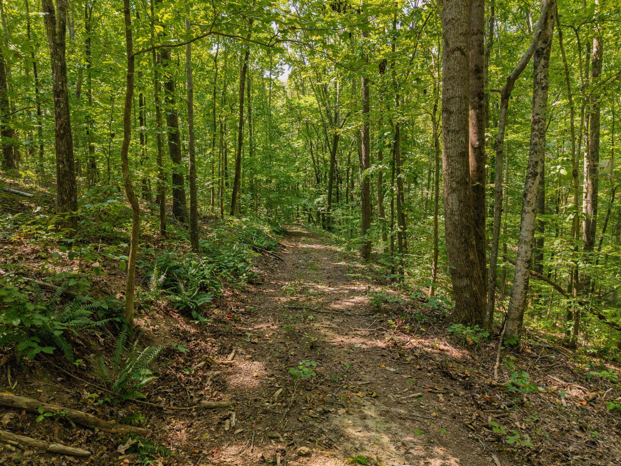1241 Johnson Branch Road Pulaski, TN 38478 - Photo 55 of 67 Gallery Image 55