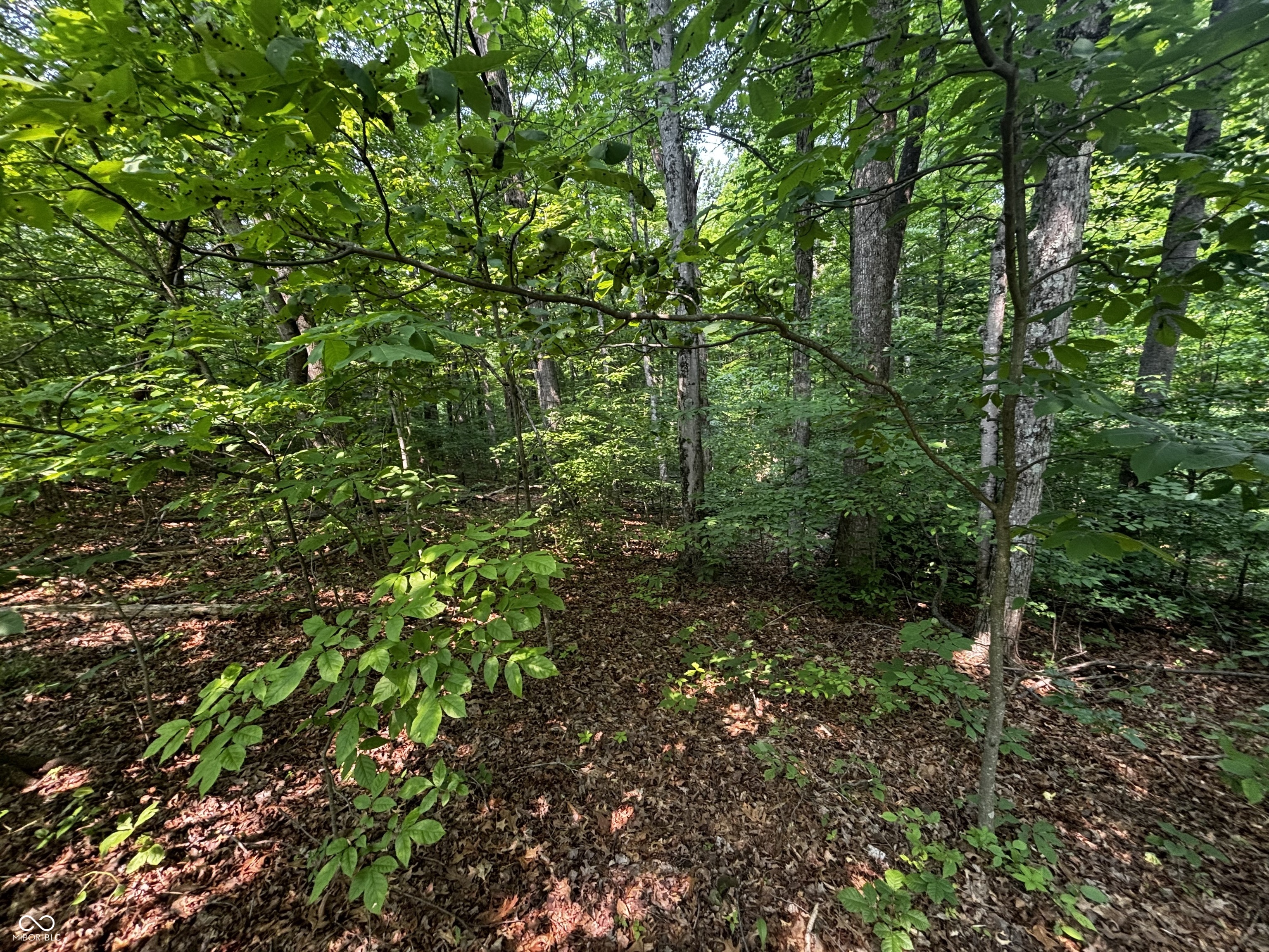 8612 Center Lake Road Nineveh, IN 46164 - Photo 2 of 7