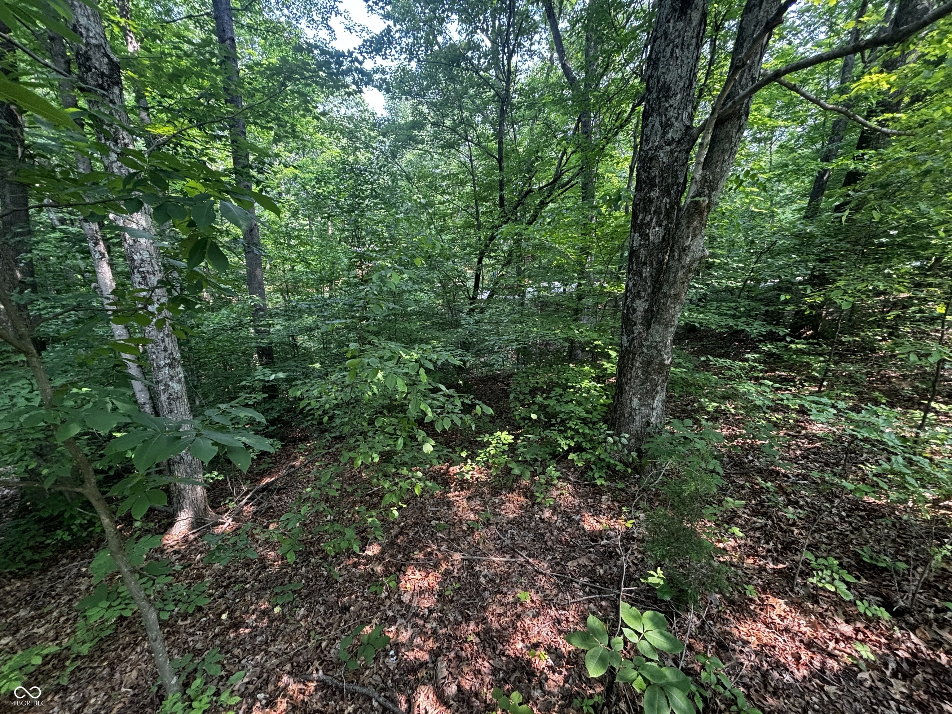 8612 Center Lake Road Nineveh, IN 46164 - Photo 3 of 7