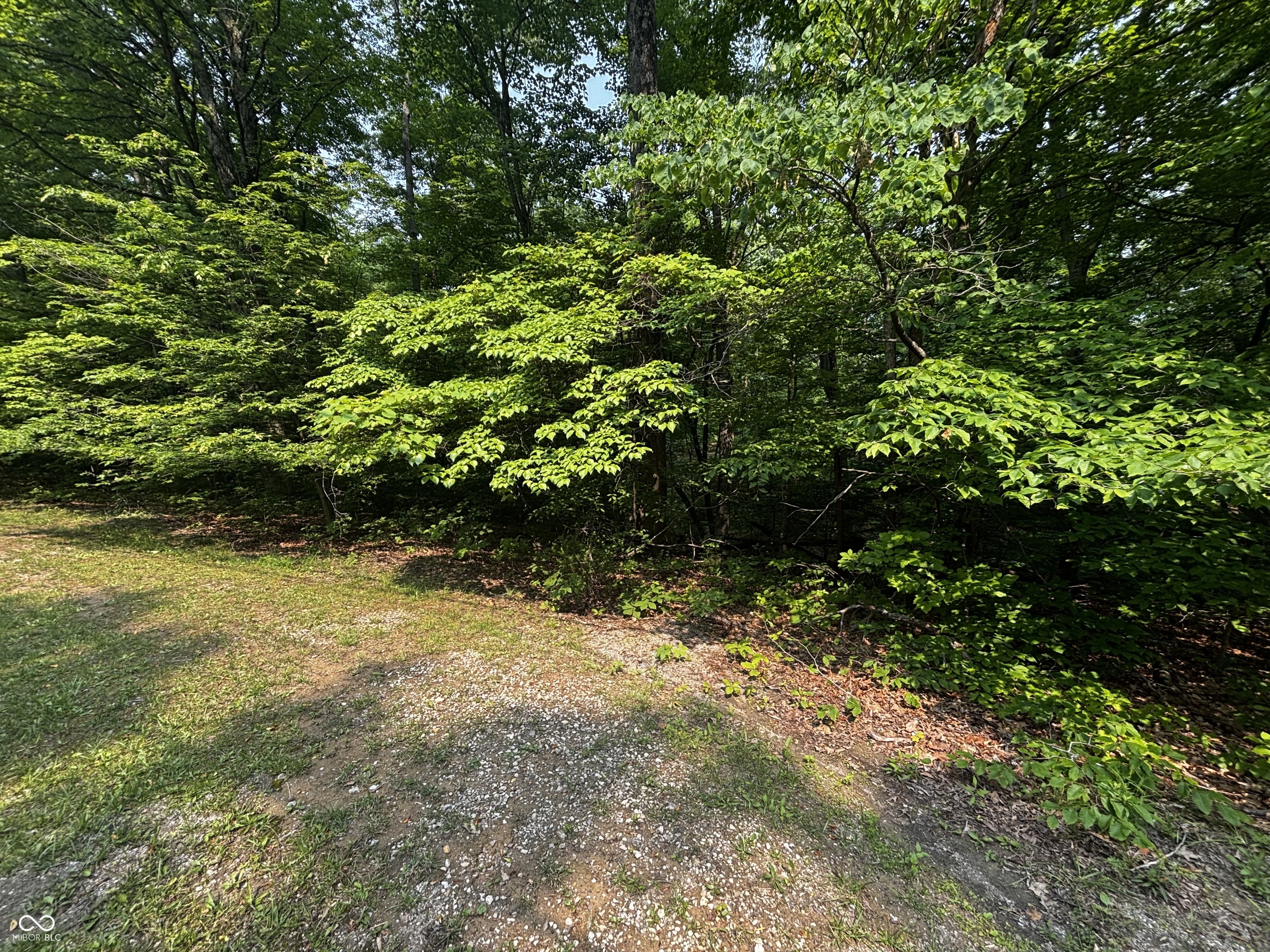 8612 Center Lake Road Nineveh, IN 46164 - Photo 4 of 7