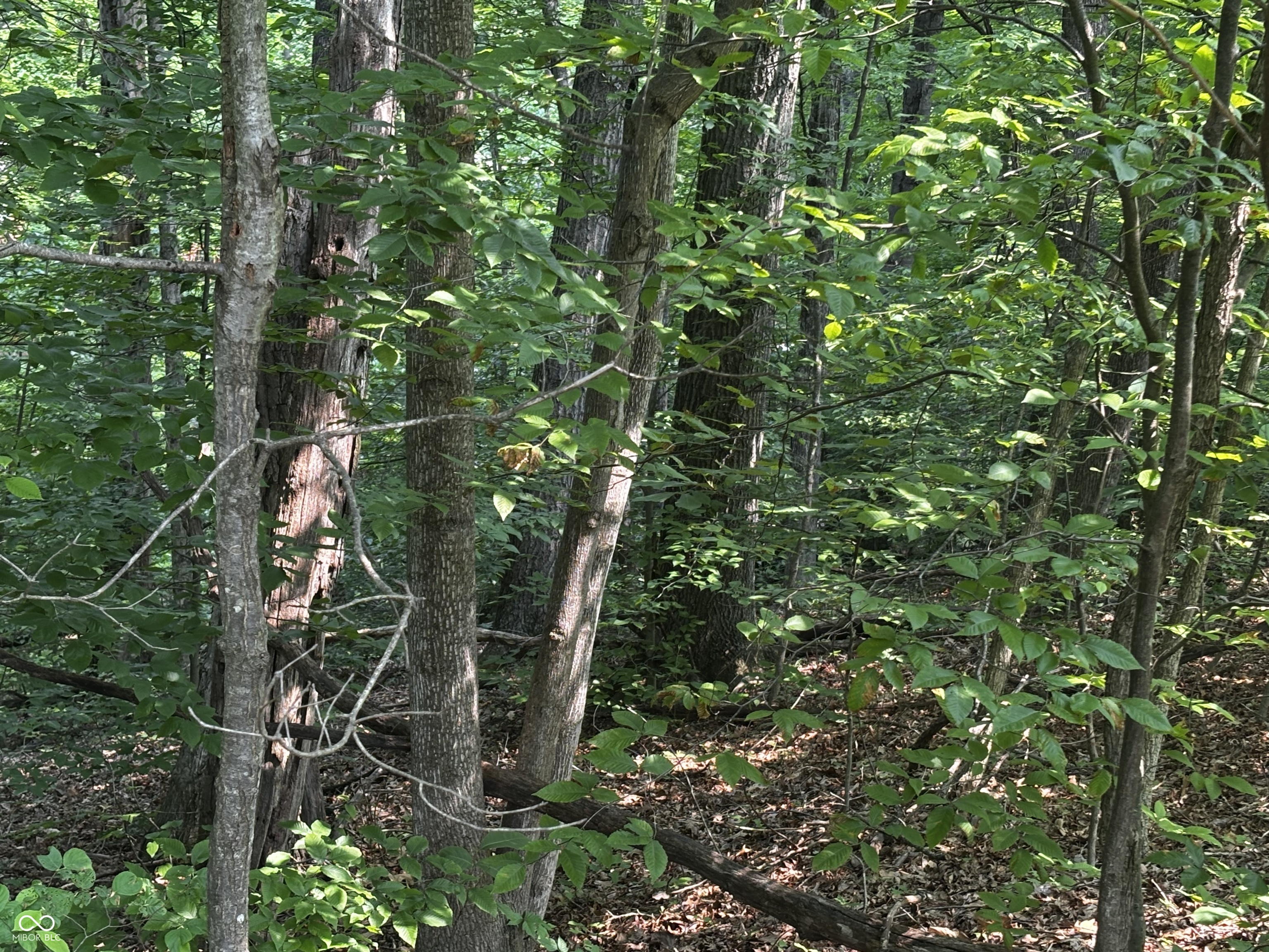 8612 Center Lake Road Nineveh, IN 46164 - Photo 7 of 7