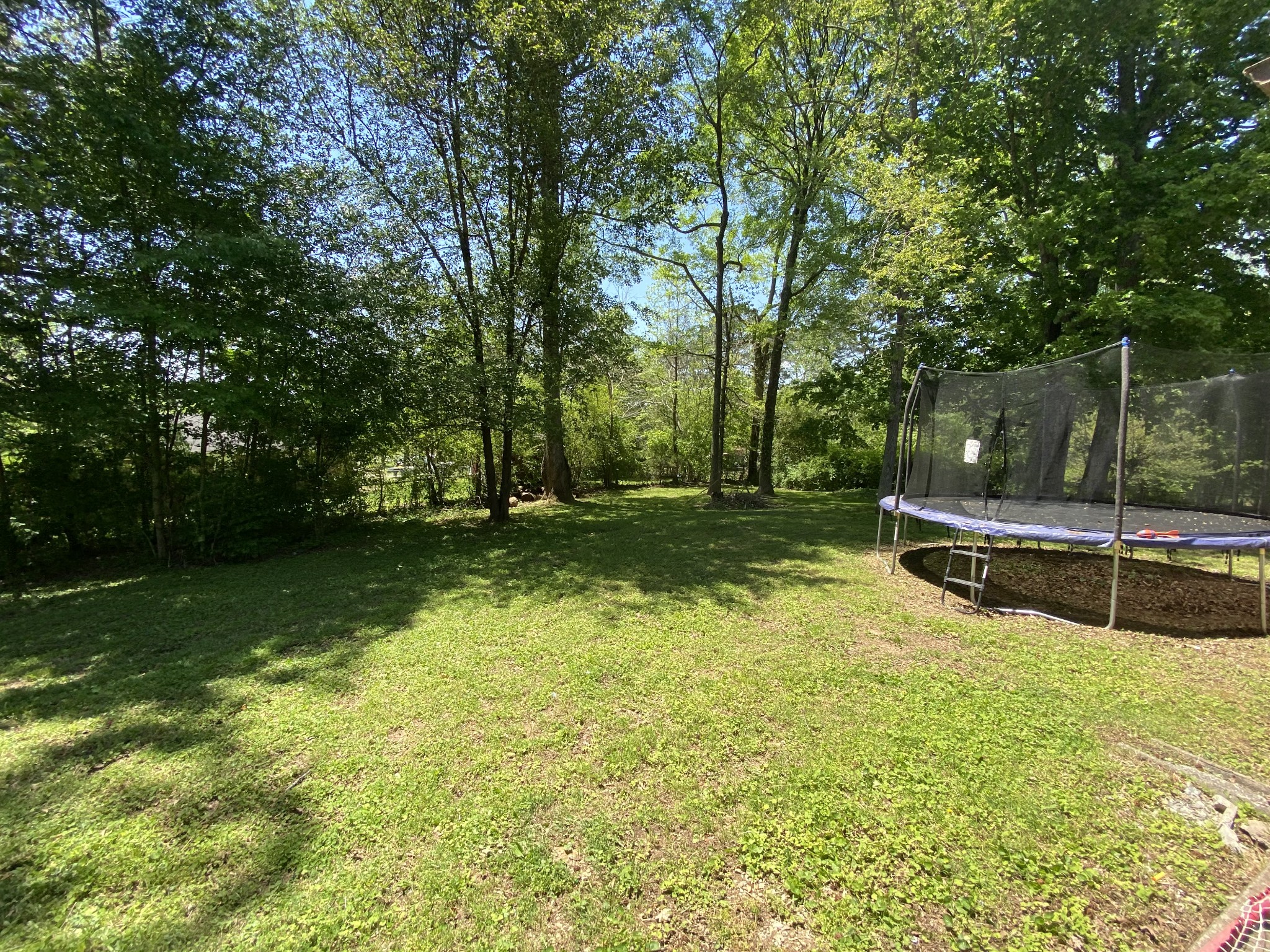 1320 Gratton Road Clarksville, TN 37043 - Photo 7 of 14 a view of a park with large trees