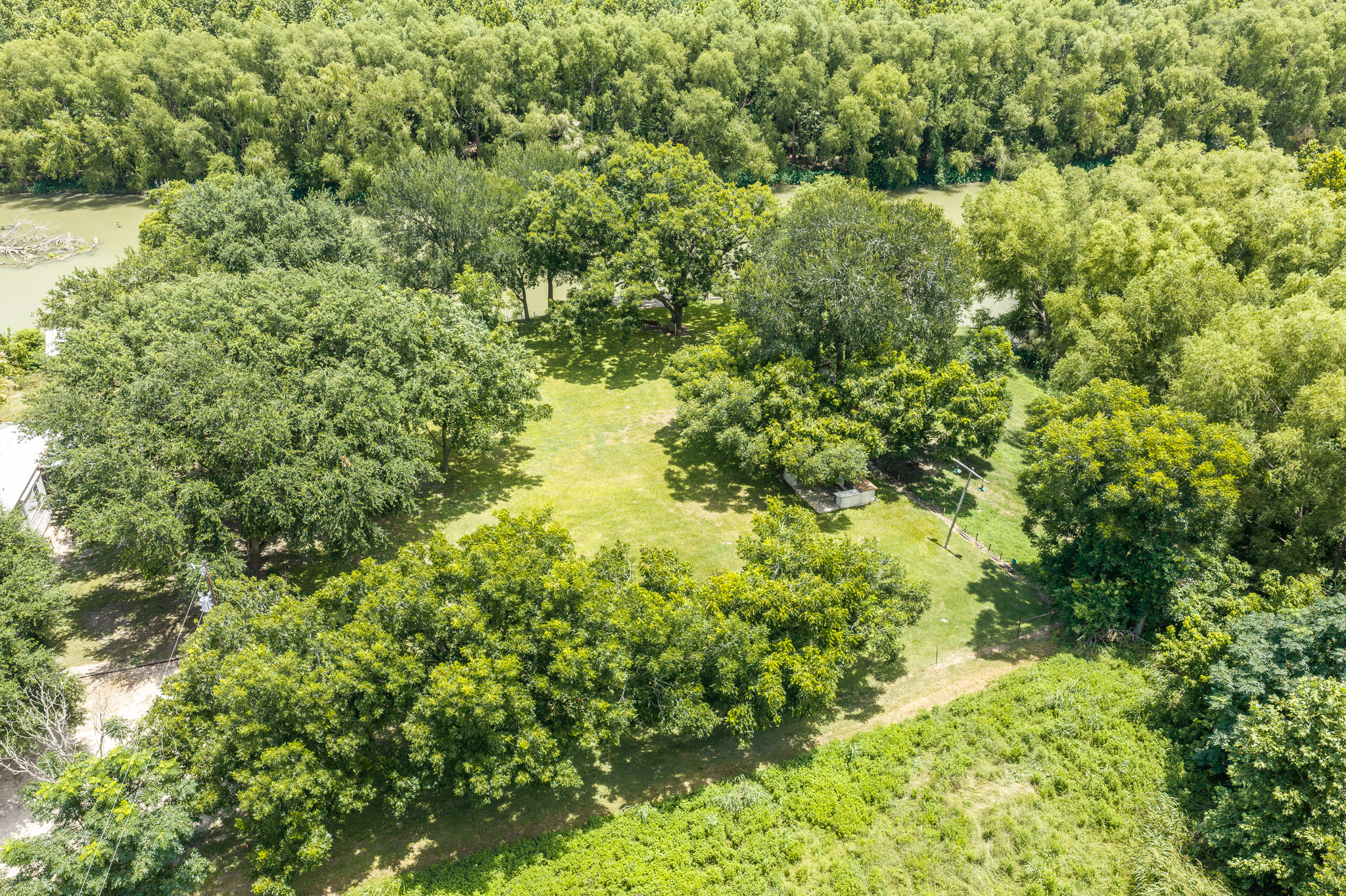 Tbd Goodwin Road Gonzales, TX 78629 - Photo 23 of 33 A verdant retreat, this expansive lot offers mature shade trees and a picturesque water view.