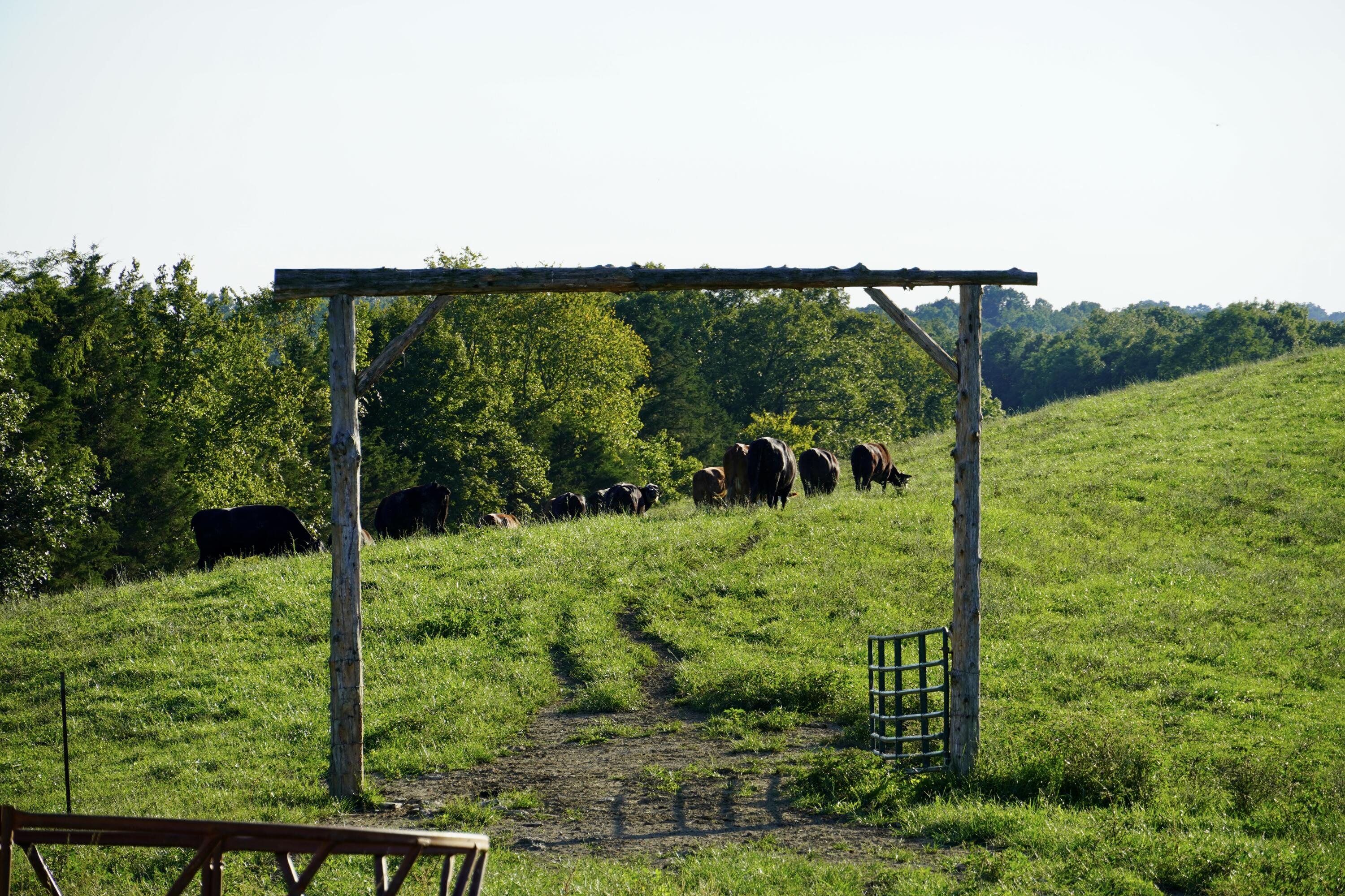 6265 Georgetown Road Owenton, KY 40359 - Photo 87 of 149 OWEN24086