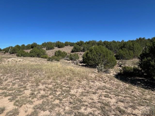 Lot 140 Caboose Lane Rye, CO 81069 - Photo 32 of 46 Gallery Image 32