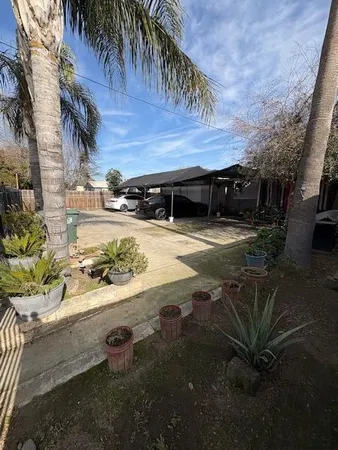 a view of a backyard with plants