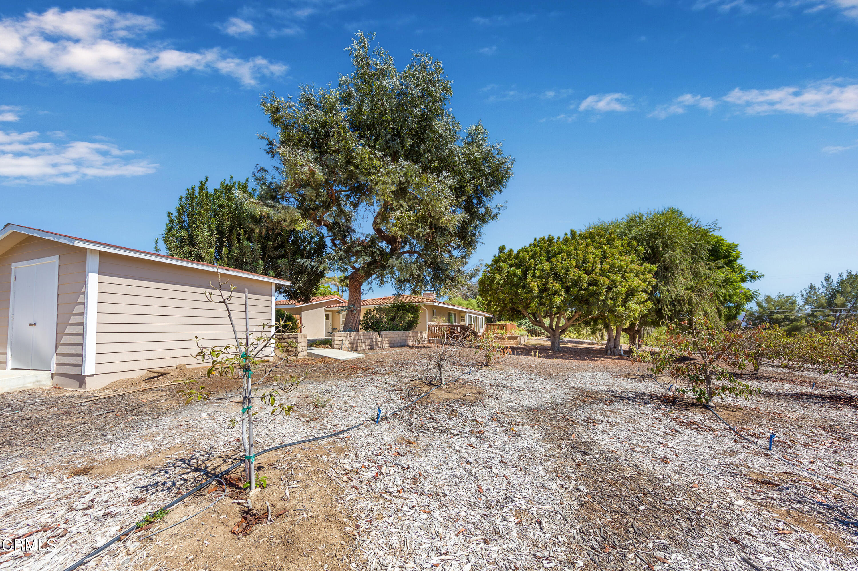 75 Vientos Road Camarillo, CA 93010 - Photo 33 of 36 a view of a yard with a tree