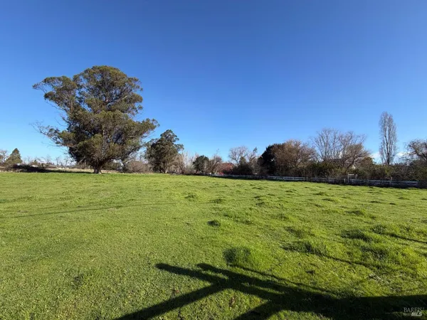 a view of a field with an ocean