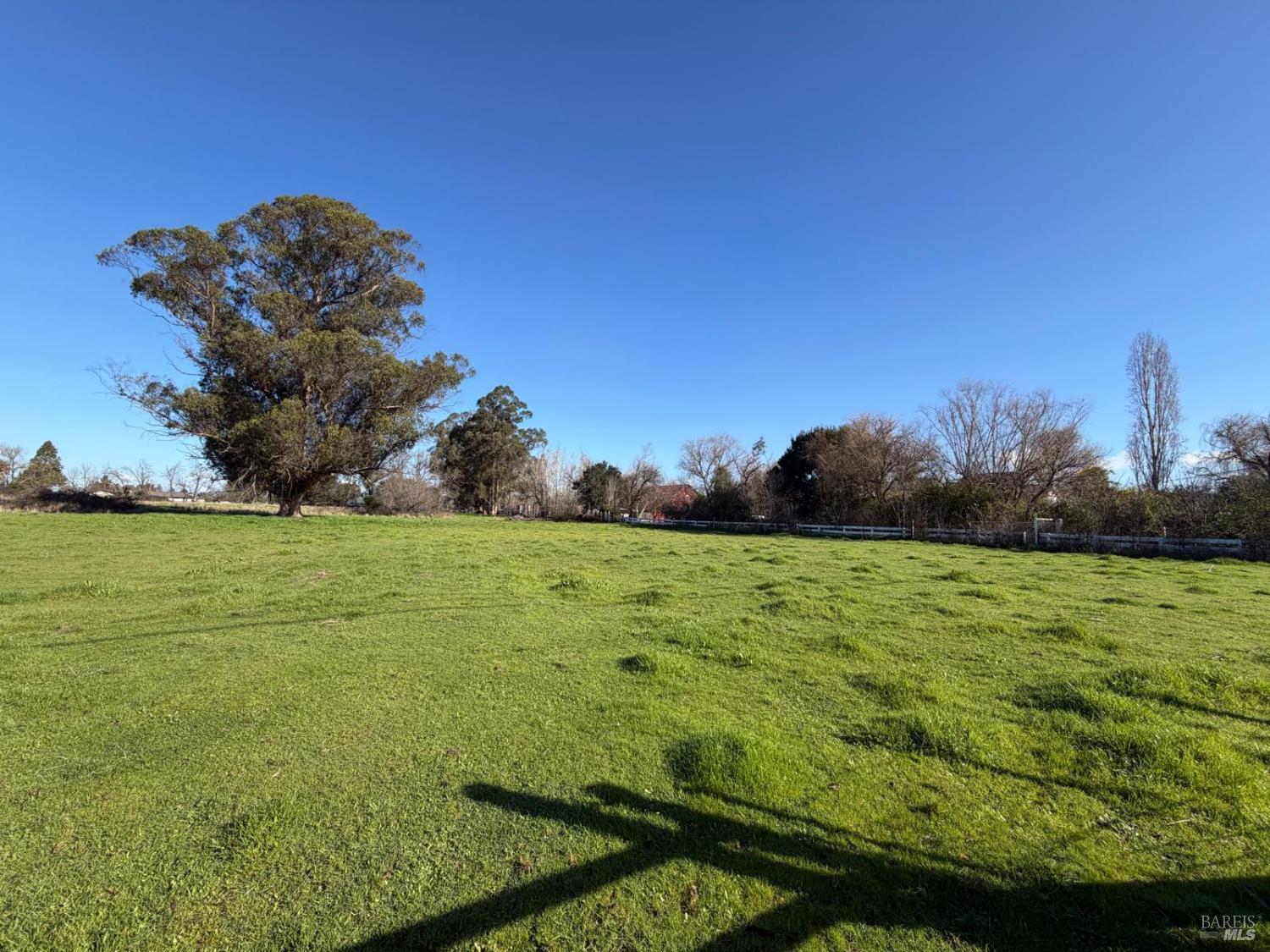 a view of a field with an ocean