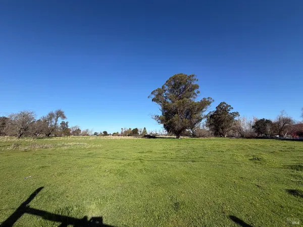 a view of a field with an ocean
