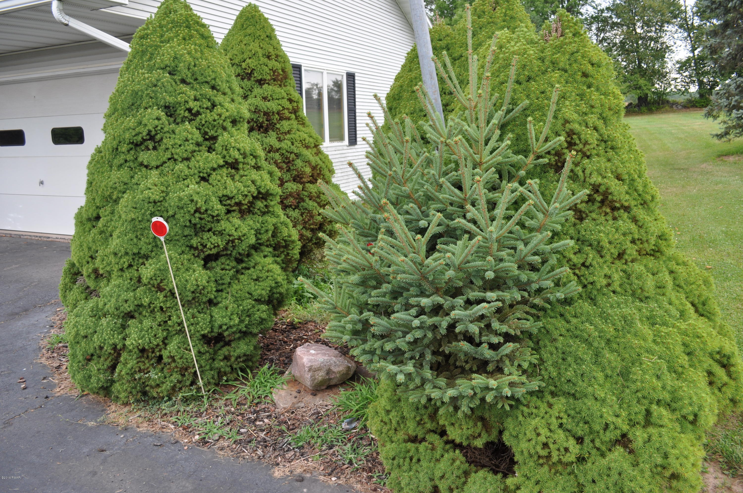 57 Edward Road Beach Lake, PA 18405 - Photo 12 of 16