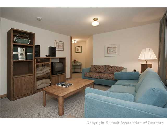 9040 Ryan Gulch Road Silverthorne, CO 80498 - Photo 13 of 17 Other. 9040 Ryan Gulch Rd - In-law suite