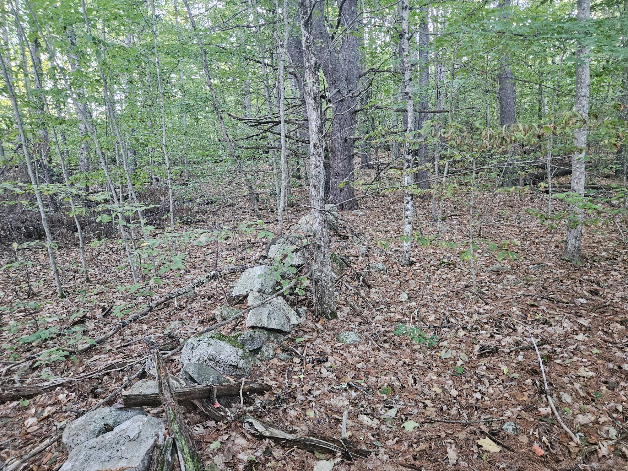 708 Webbs Mills Road Raymond, ME 04071 - Photo 23 of 31 rock wall 2