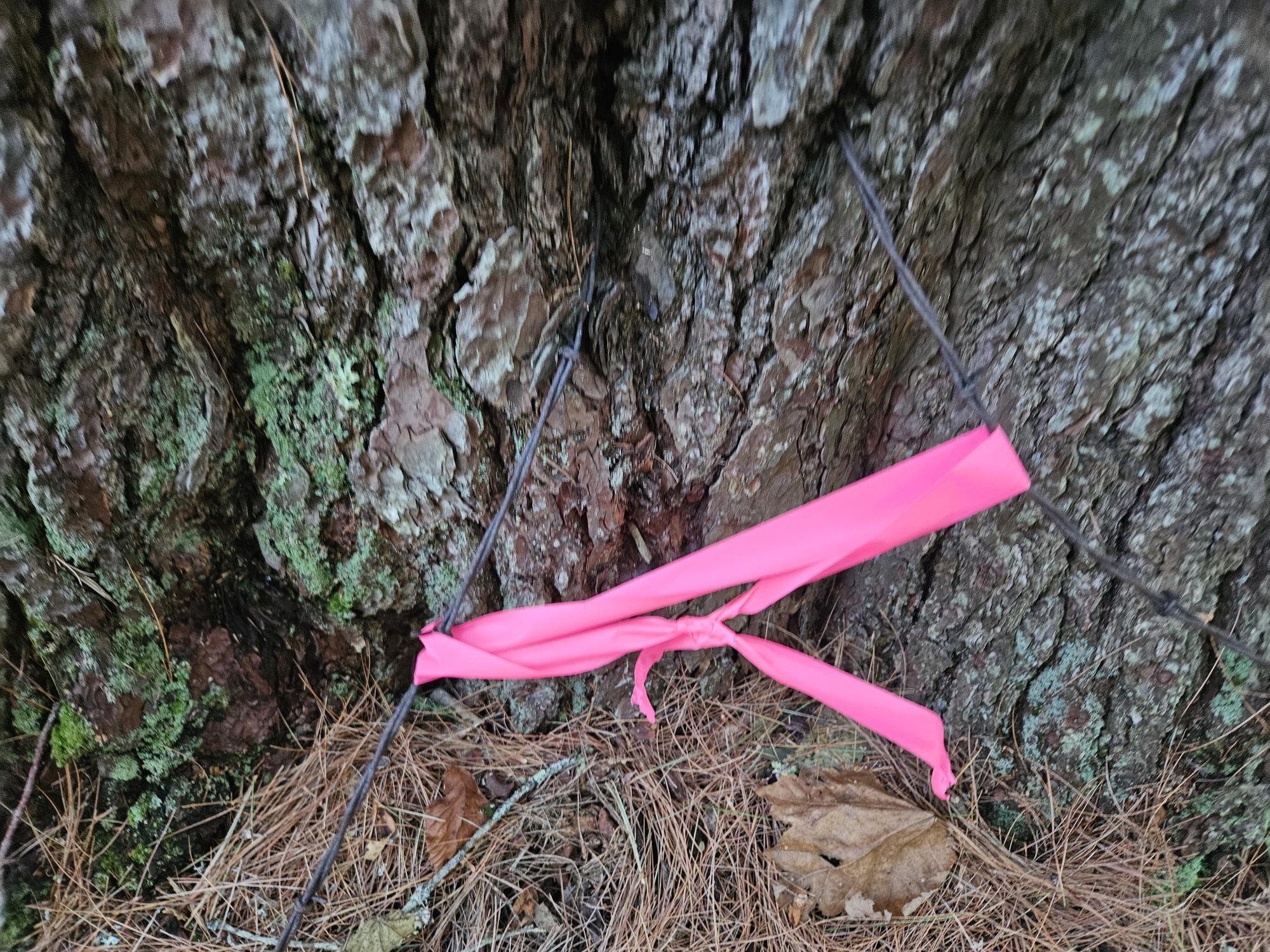 708 Webbs Mills Road Raymond, ME 04071 - Photo 25 of 31 old barbed fence