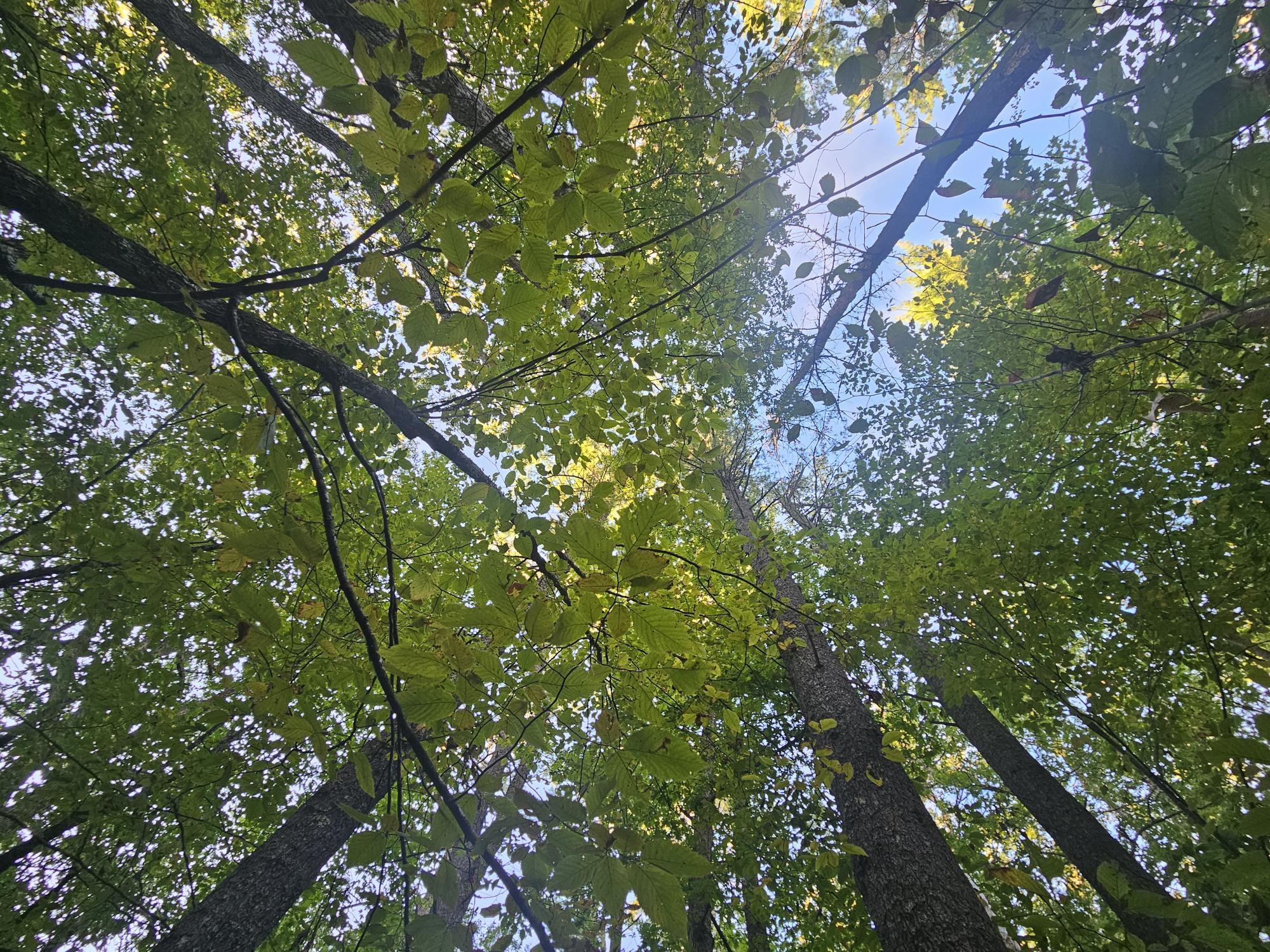 708 Webbs Mills Road Raymond, ME 04071 - Photo 29 of 31 5 (2)