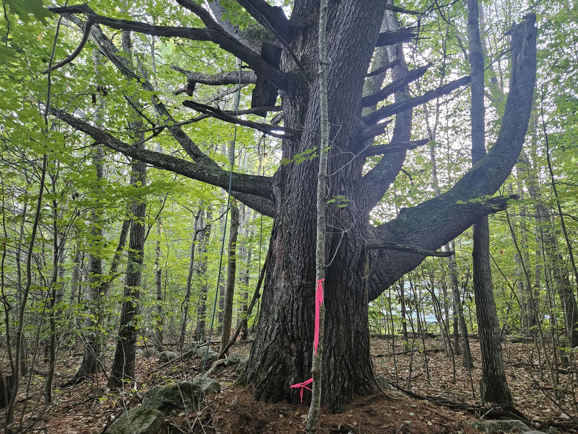 708 Webbs Mills Road Raymond, ME 04071 - Photo 30 of 31 20250908_175557