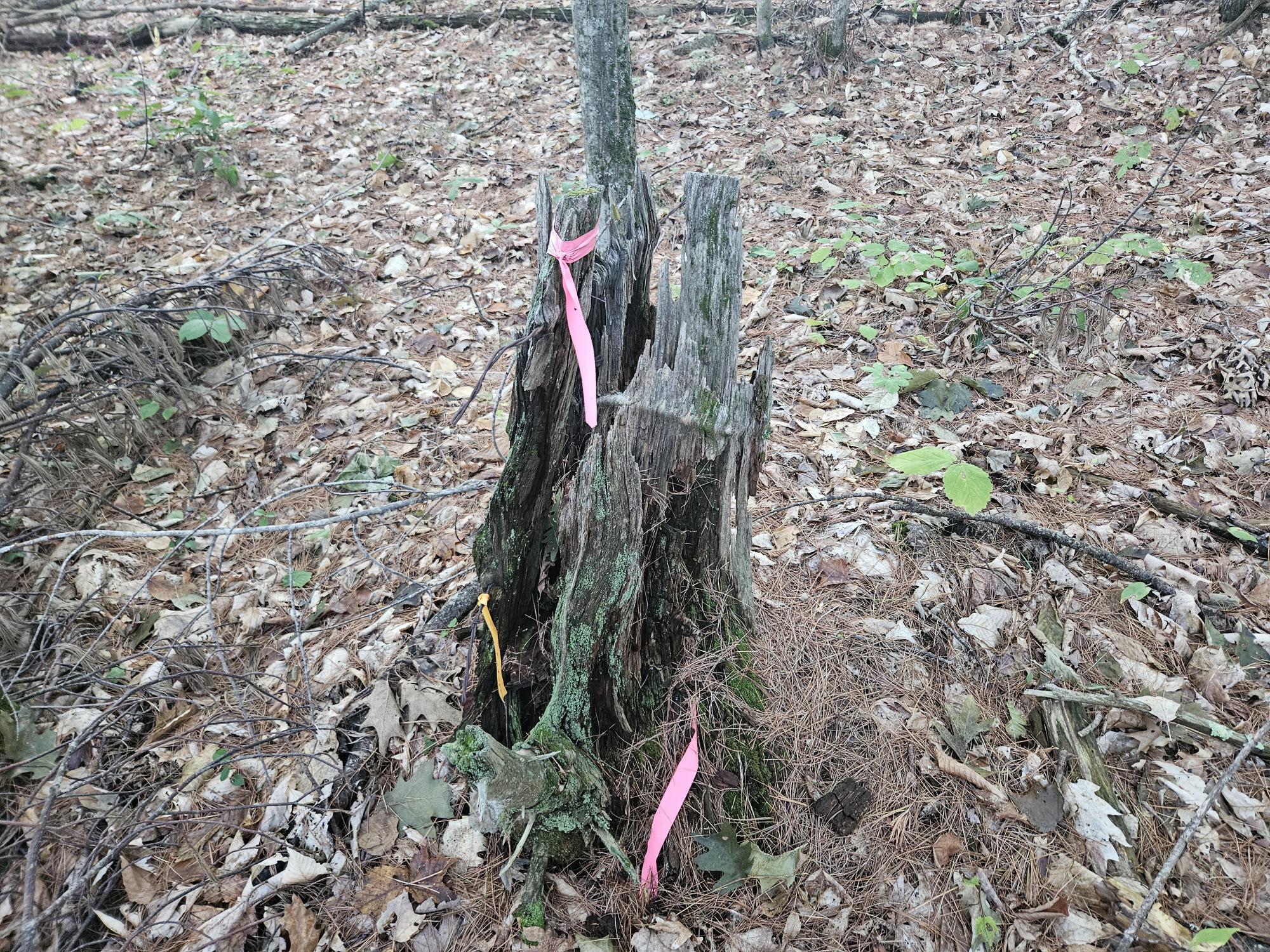 708 Webbs Mills Road Raymond, ME 04071 - Photo 31 of 31 20250908_175740