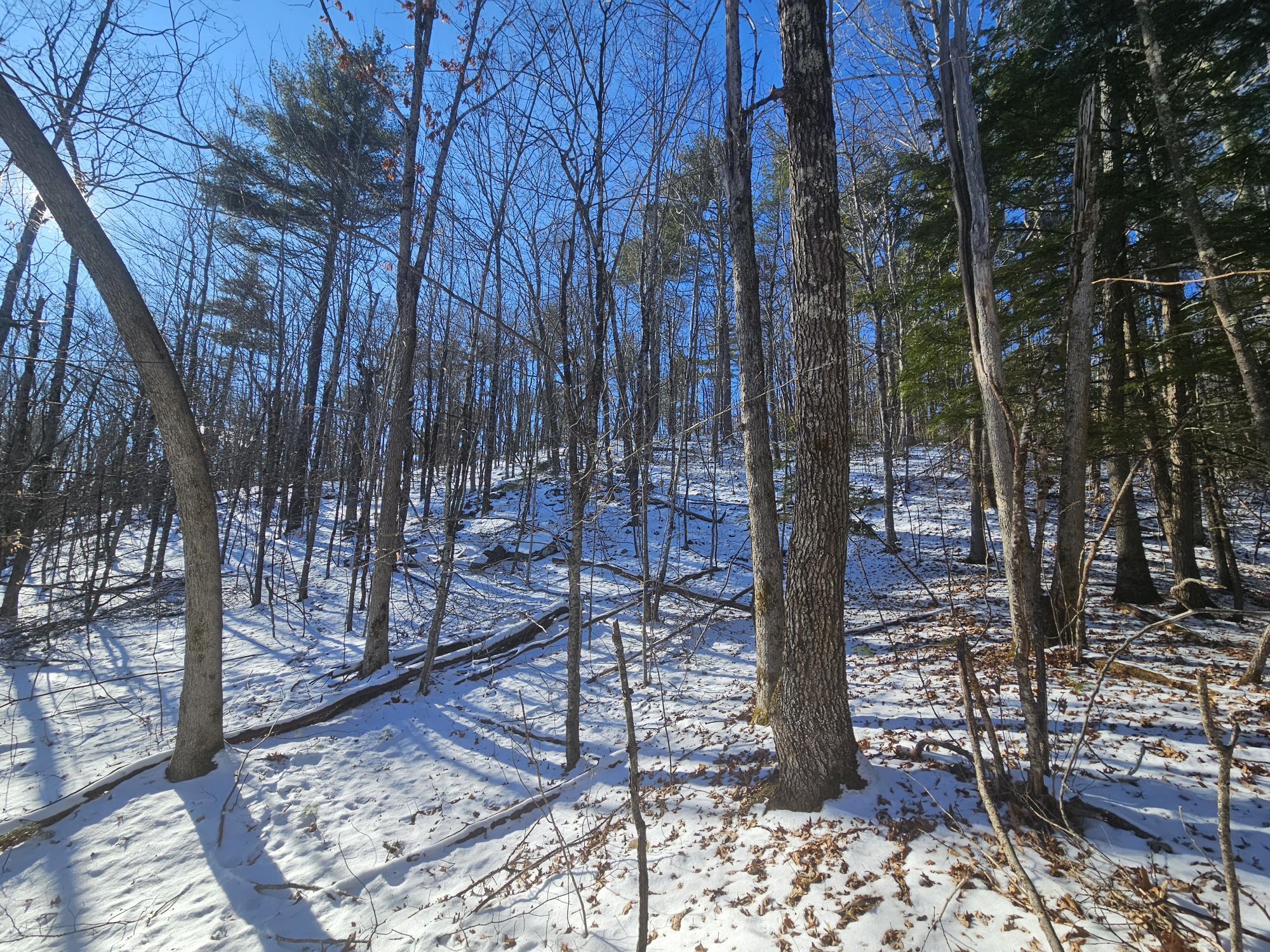 708 Webbs Mills Road Raymond, ME 04071 - Photo 5 of 31 20250115_111554