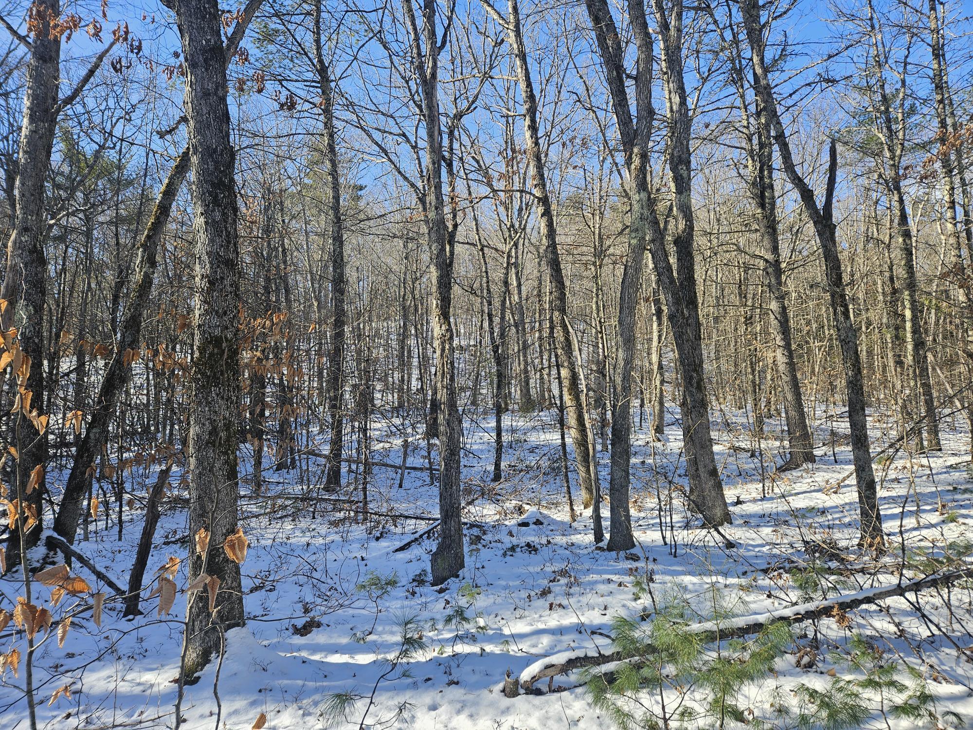 708 Webbs Mills Road Raymond, ME 04071 - Photo 6 of 31 20250115_113623