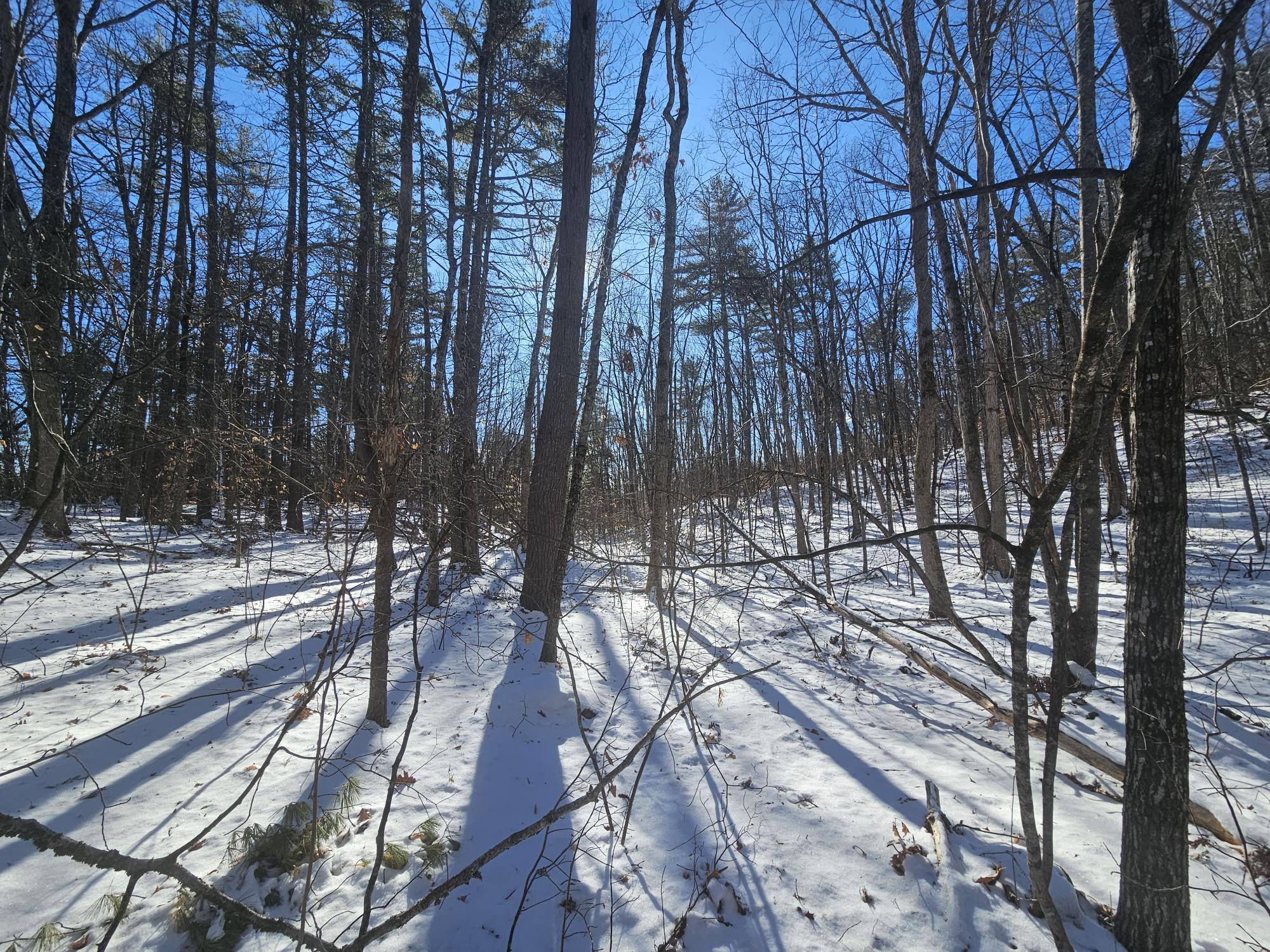 708 Webbs Mills Road Raymond, ME 04071 - Photo 7 of 31 20250115_113932