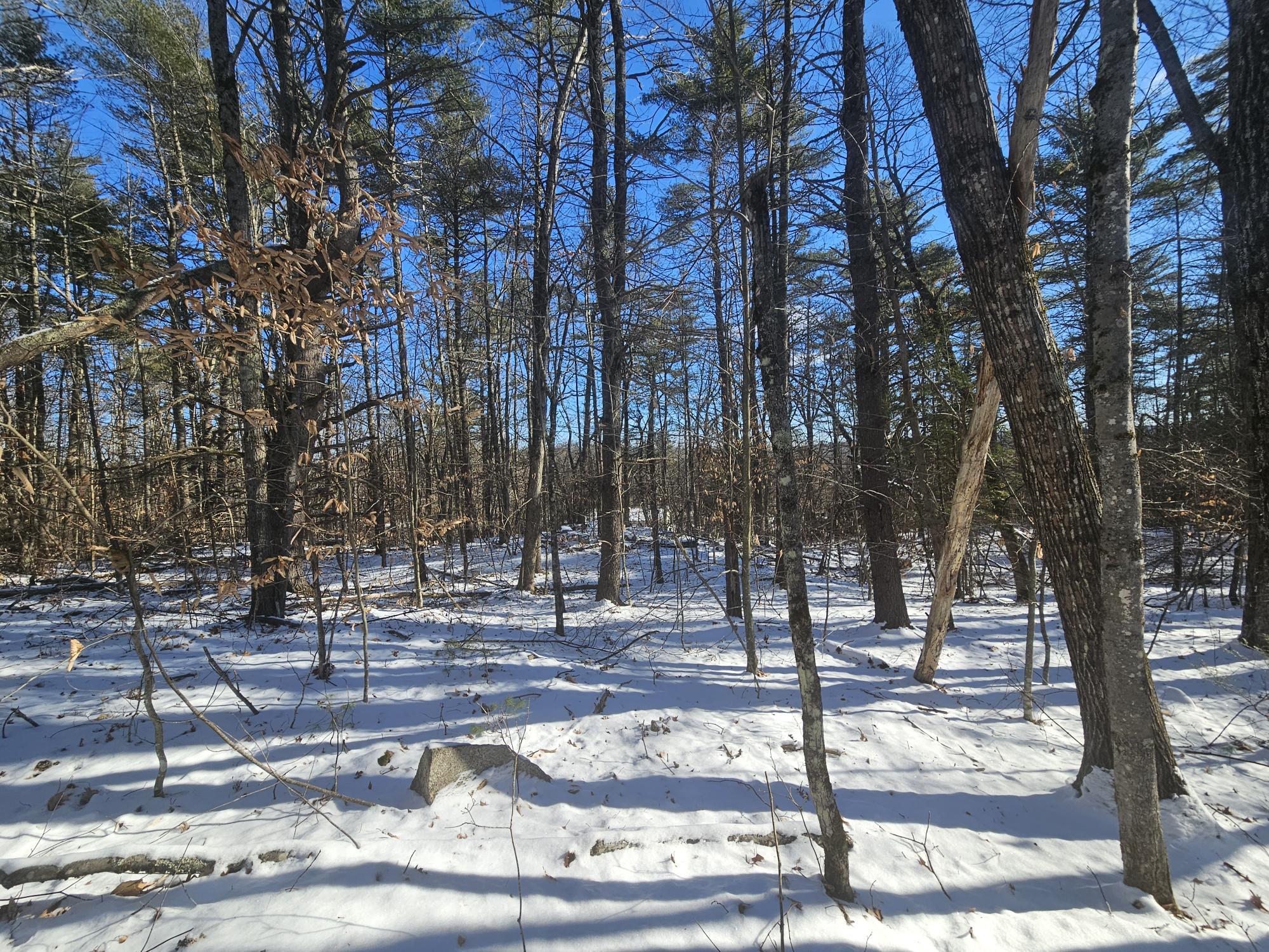 708 Webbs Mills Road Raymond, ME 04071 - Photo 8 of 31 20250115_114011