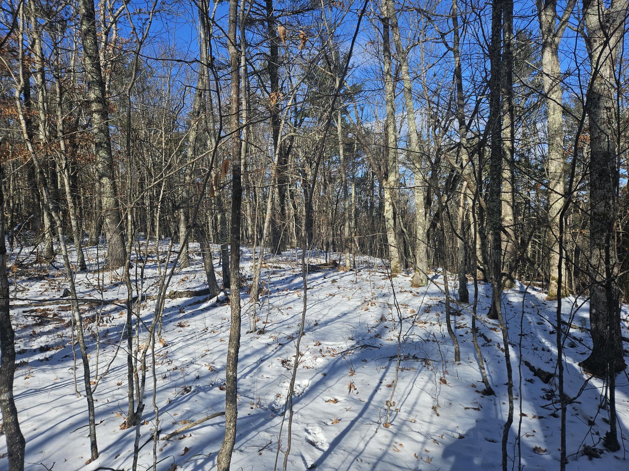 708 Webbs Mills Road Raymond, ME 04071 - Photo 9 of 31 20250115_112605