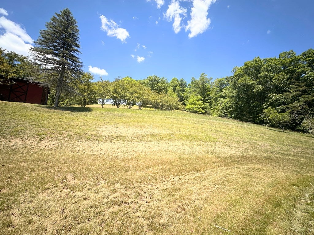 20 Canterbury School Road Hinton, WV 25951 - Photo 53 of 74 Gallery Image 53