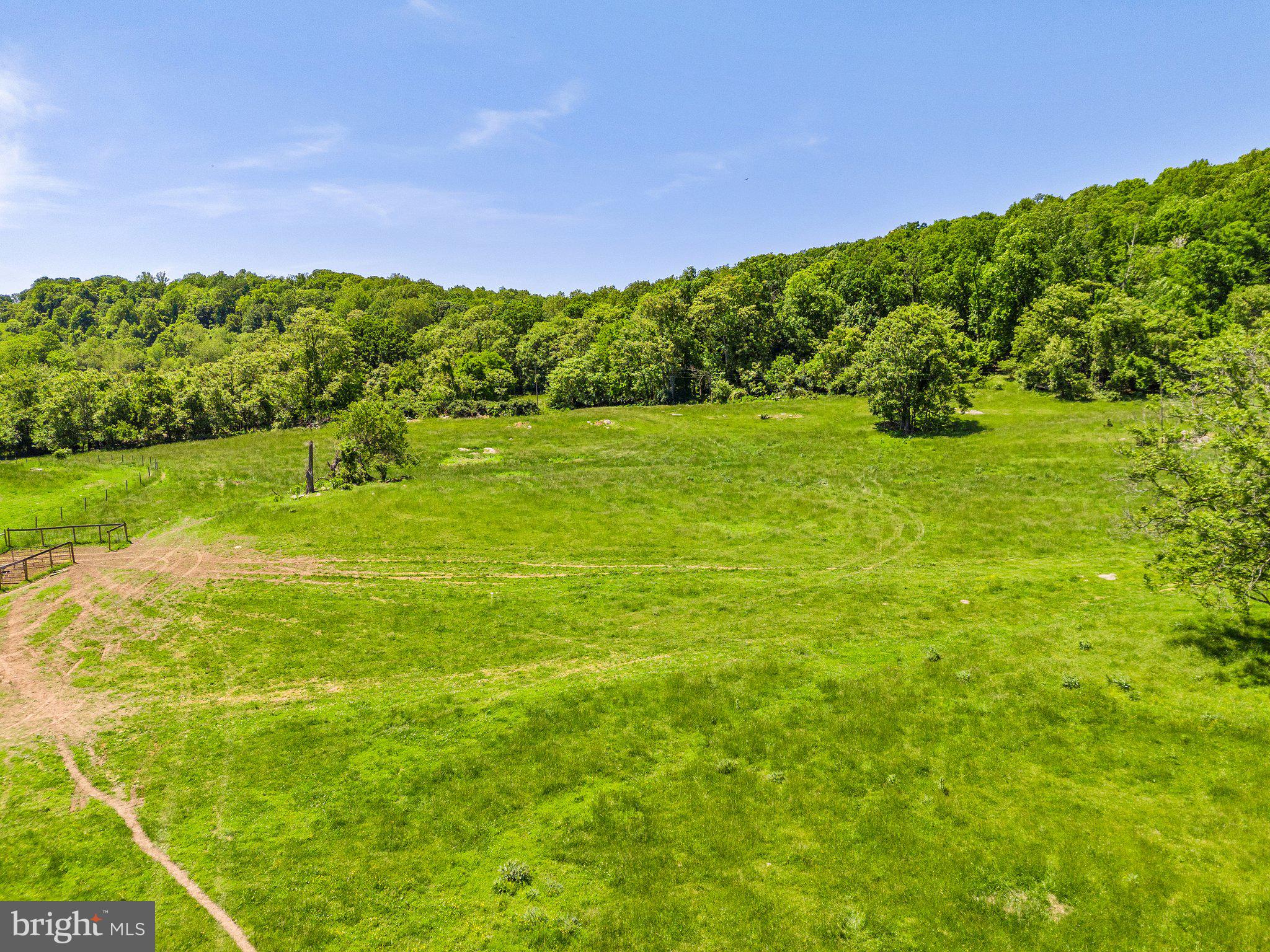 86-acres - Ramey Road Delaplane, VA 20144 - Photo 12 of 21 a view of yard with green space