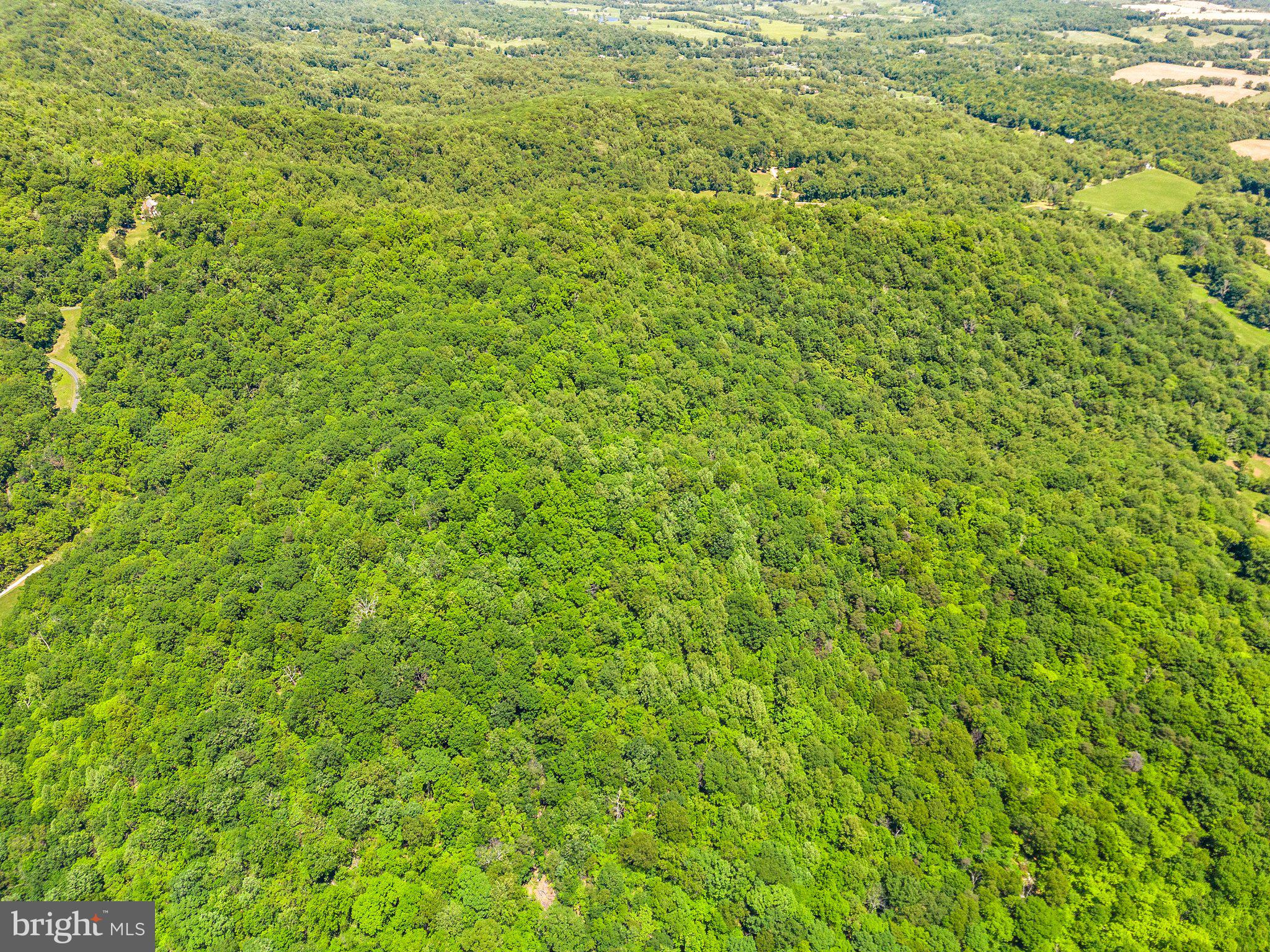 86-acres - Ramey Road Delaplane, VA 20144 - Photo 15 of 21 a view of a green field