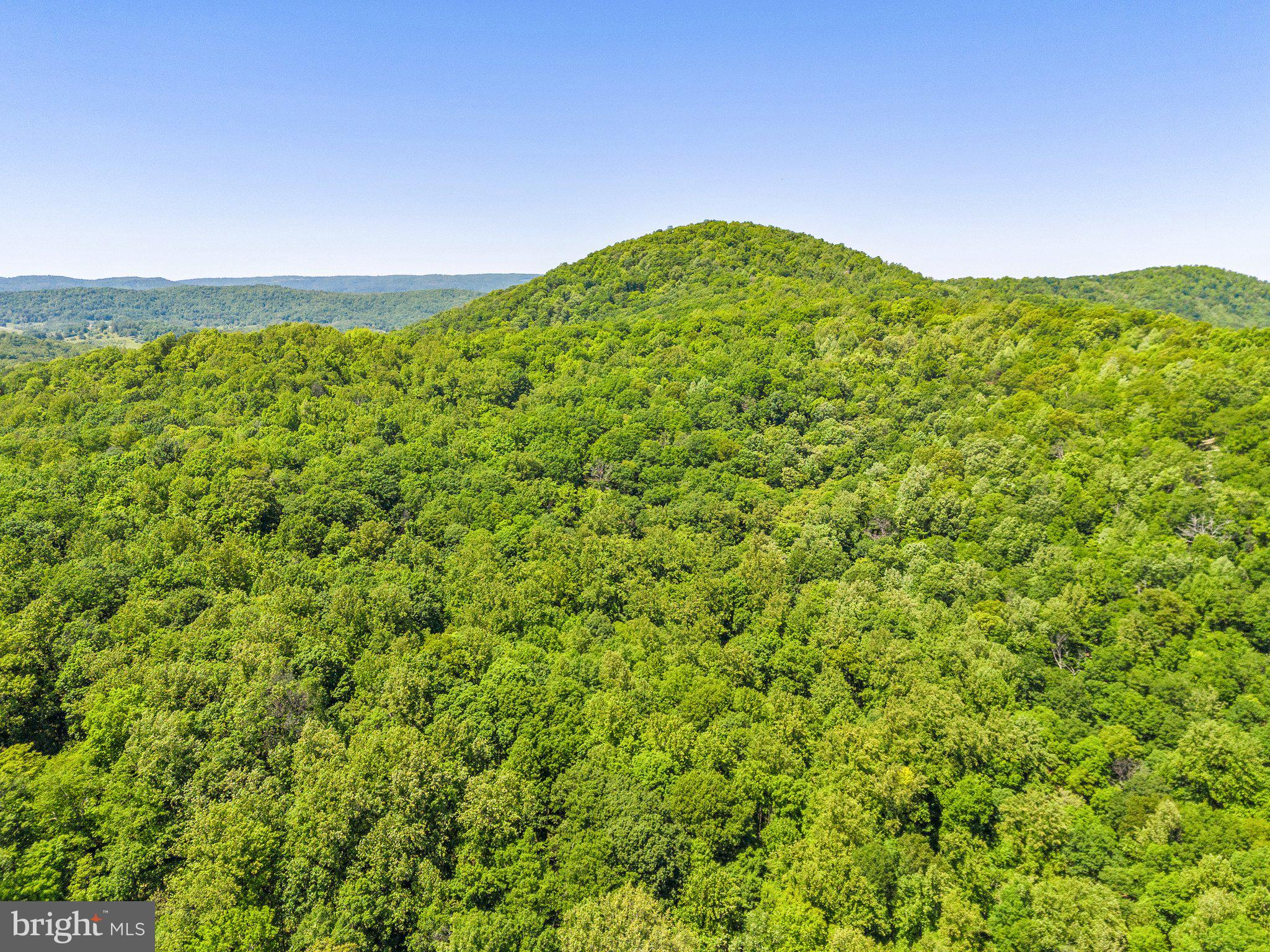 86-acres - Ramey Road Delaplane, VA 20144 - Photo 18 of 21 a view of a green field
