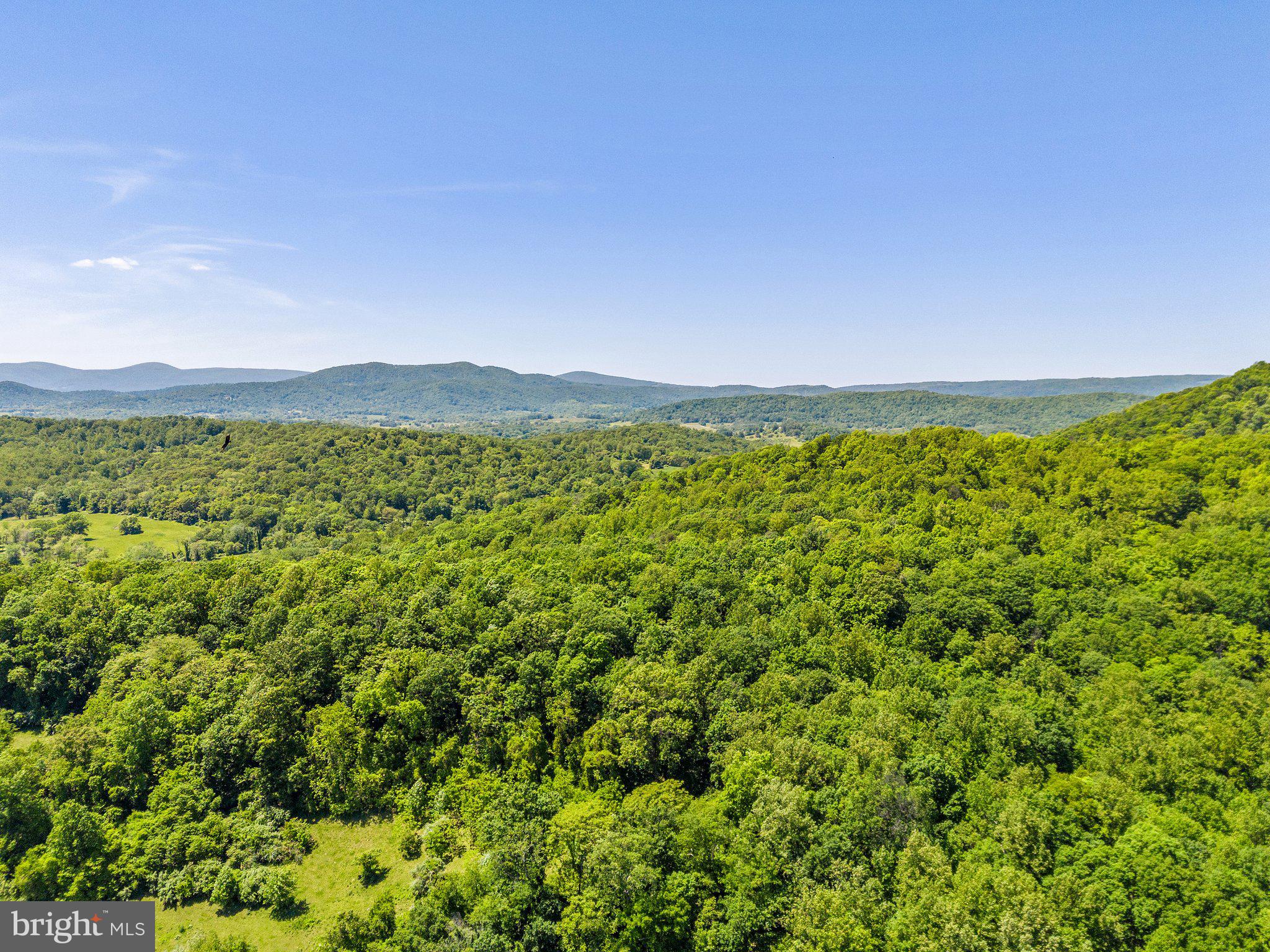 86-acres - Ramey Road Delaplane, VA 20144 - Photo 19 of 21 a view of a lush green forest with a houses