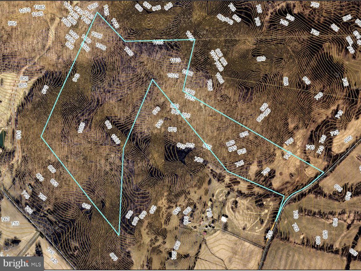 86-acres - Ramey Road Delaplane, VA 20144 - Photo 20 of 21 a picture of tree