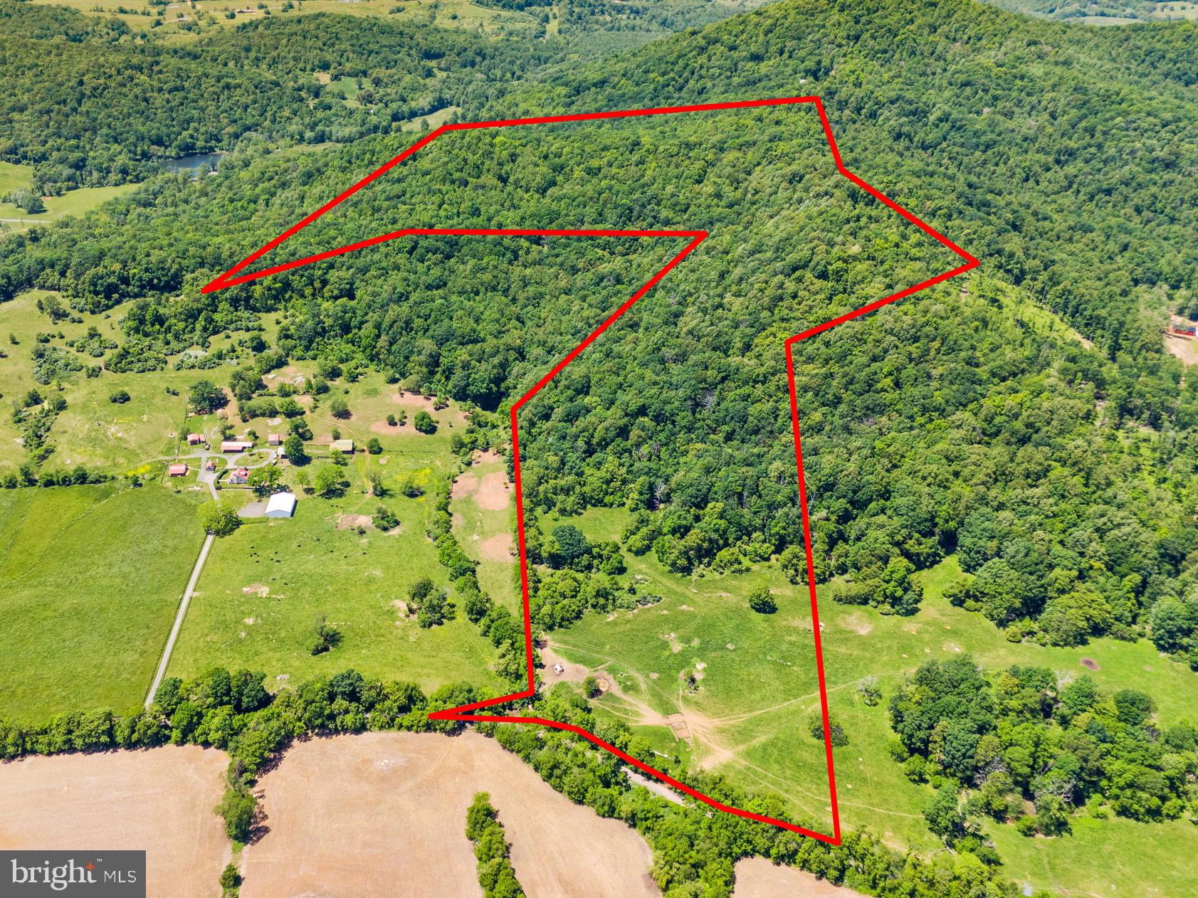 86-acres - Ramey Road Delaplane, VA 20144 - Photo 2 of 21 a view of a yard with a small yard and plants