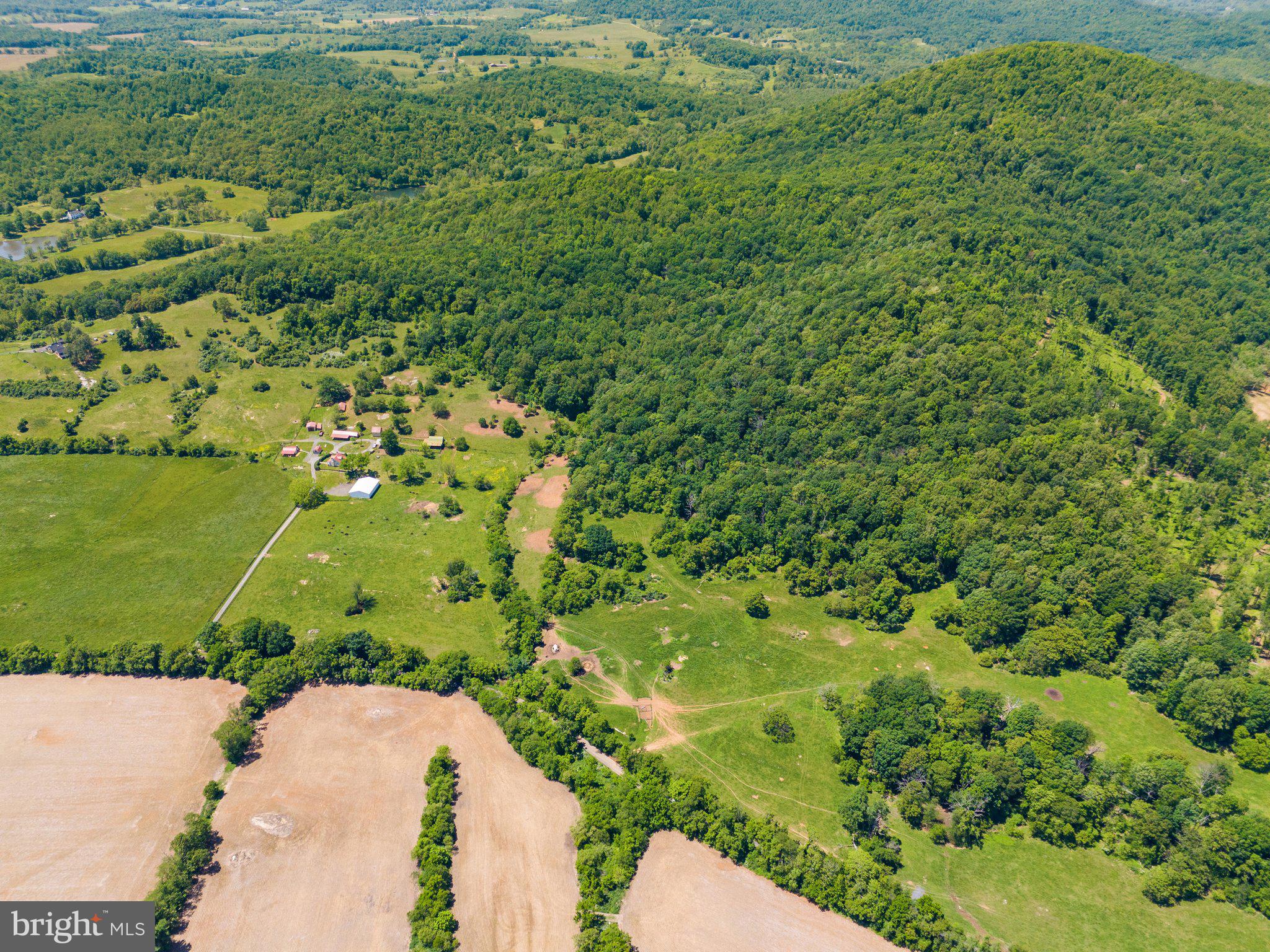 86-acres - Ramey Road Delaplane, VA 20144 - Photo 3 of 21 a view of a garden
