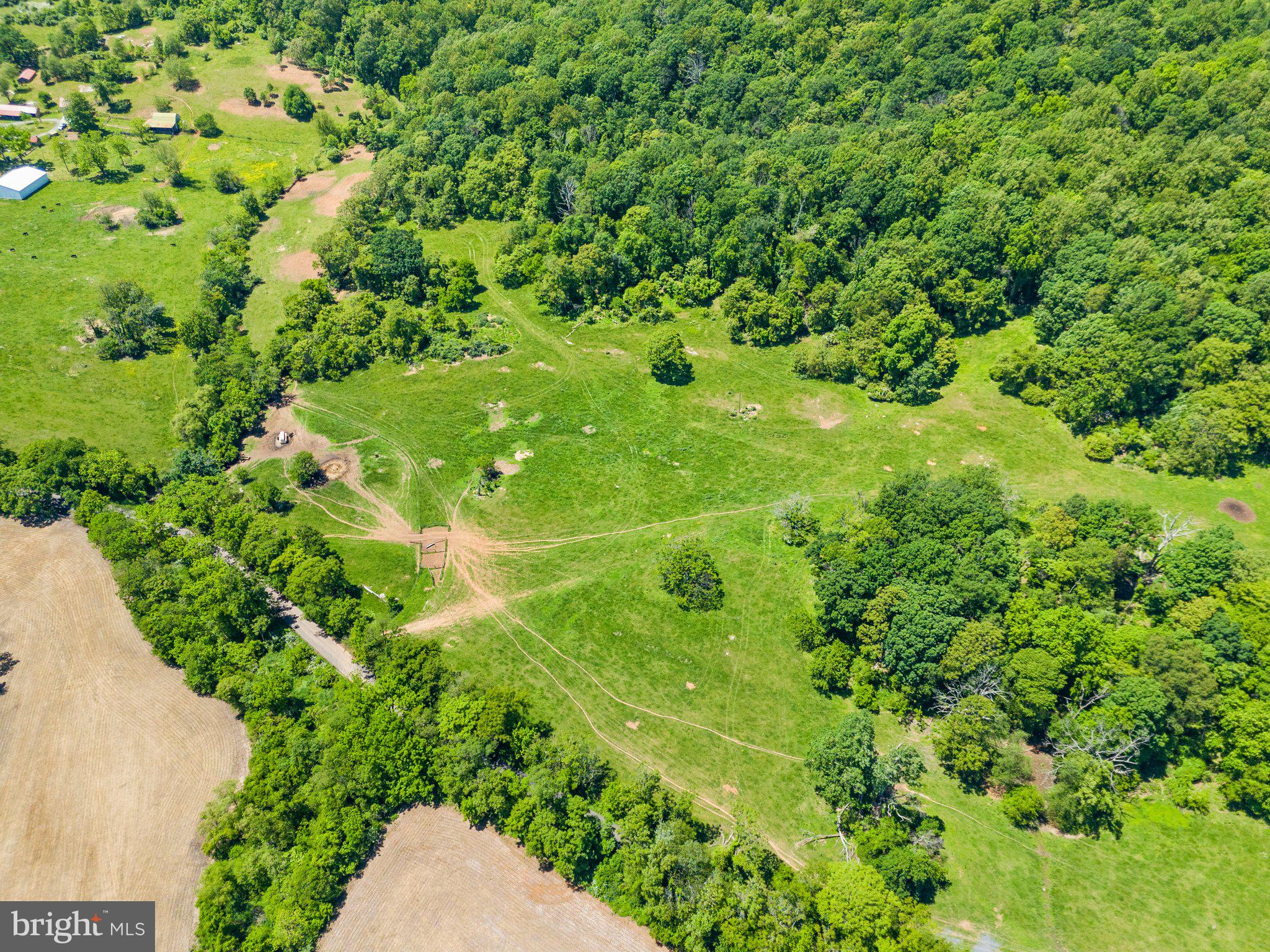 86-acres - Ramey Road Delaplane, VA 20144 - Photo 6 of 21