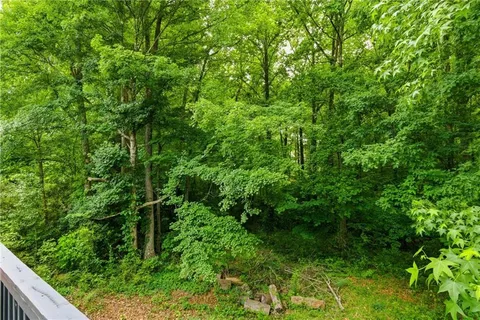 a view of a forest with a tree