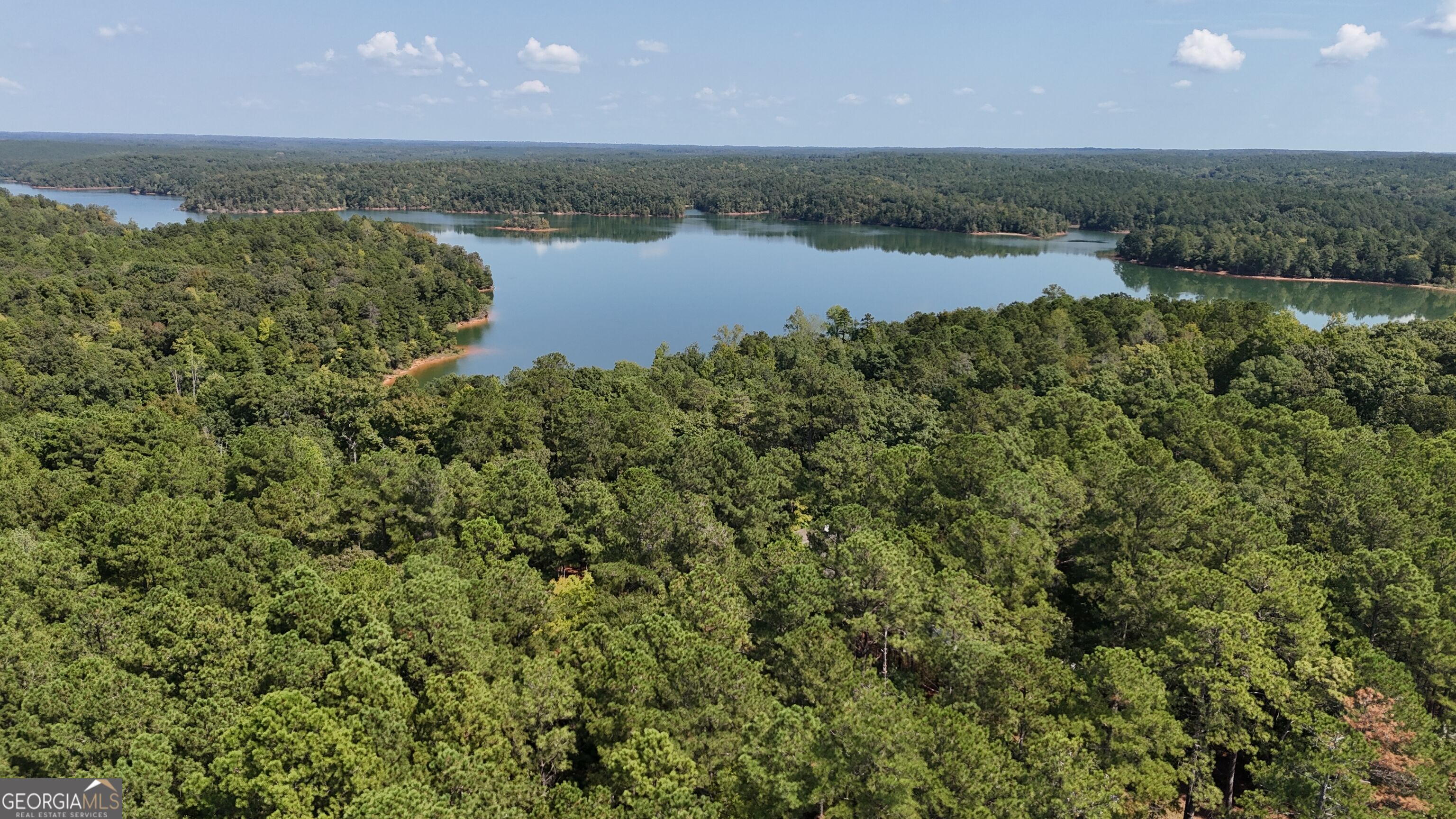 0 Bluff Road, Unit LOT 21 Elberton, GA 30635 - Photo 6 of 18 Gallery Image 6