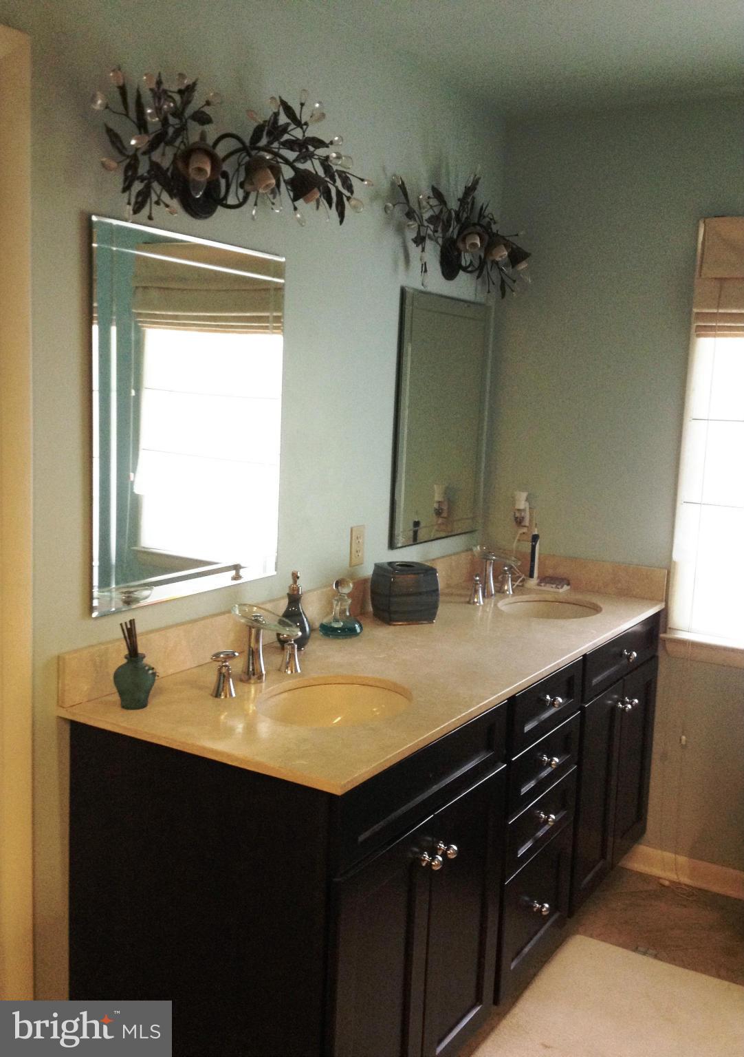 16515 Lappans Road Williamsport, MD 21795 - Photo 23 of 30 Bath (Master)
