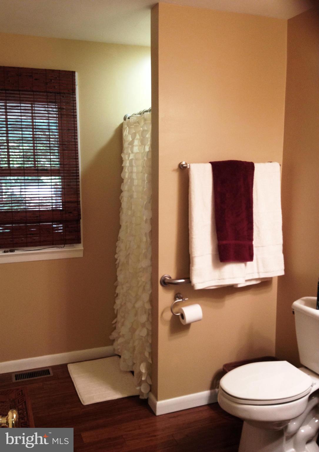 16515 Lappans Road Williamsport, MD 21795 - Photo 28 of 30 Bath