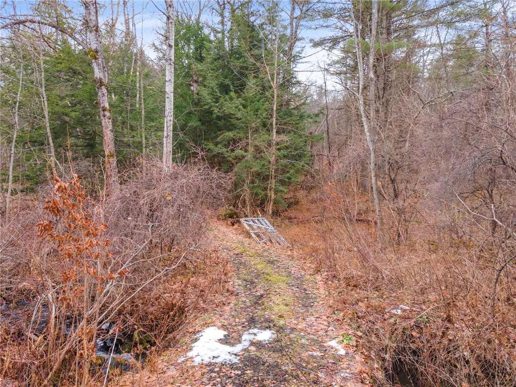 258 Engle Road Schoharie, NY 12157 - Photo 8 of 23 Gallery Image 8