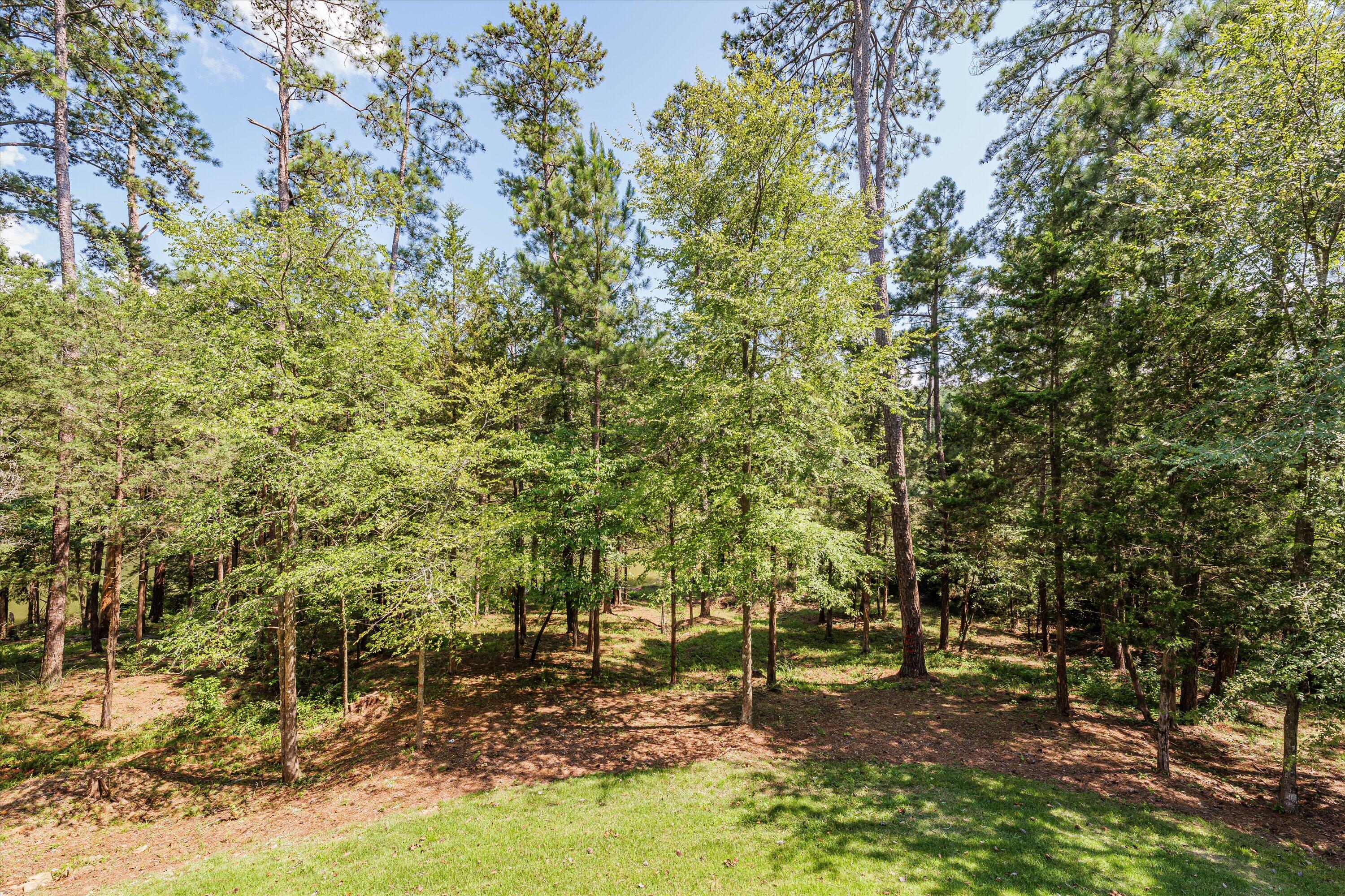 115 Hickory Point McCormick, SC 29835 - Photo 46 of 65 058-PS529793