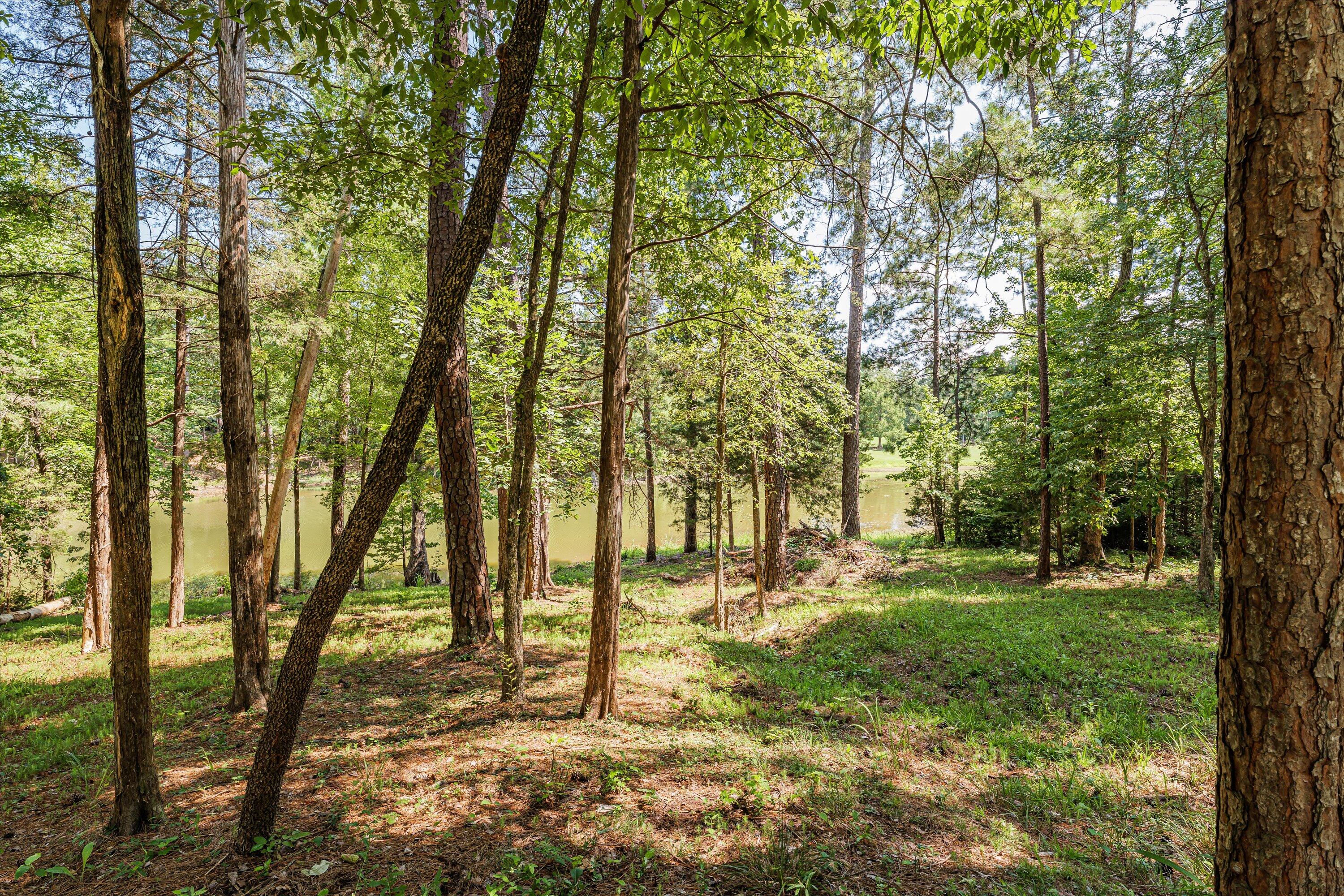 115 Hickory Point McCormick, SC 29835 - Photo 53 of 65 068-PS529803