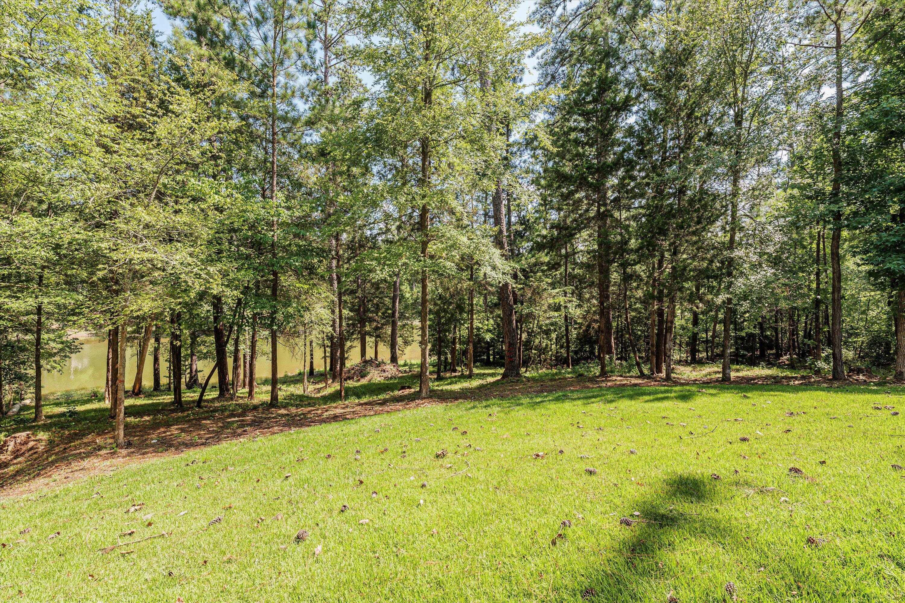 115 Hickory Point McCormick, SC 29835 - Photo 54 of 65 069-PS529804