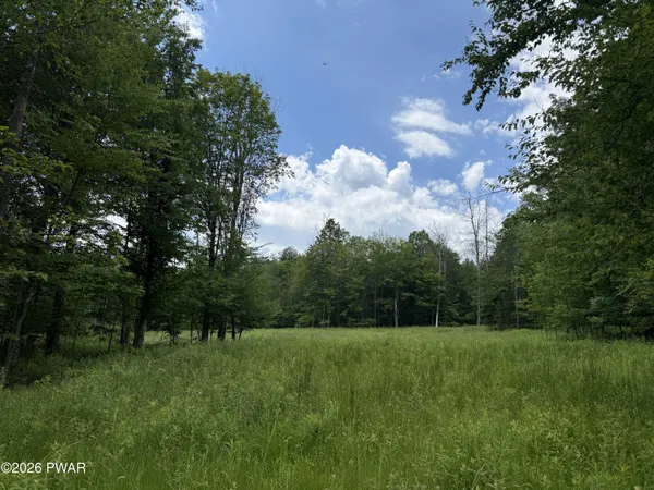 $145,000 | Lot 23 Bridle Way, Equinunk, PA 18417