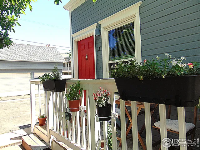 a couple of flower plants in front of house