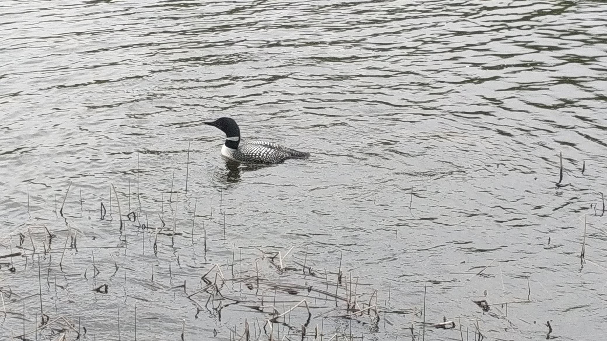 Tbd 330 Avenue Detroit Lakes, MN 56501 - Photo 11 of 13